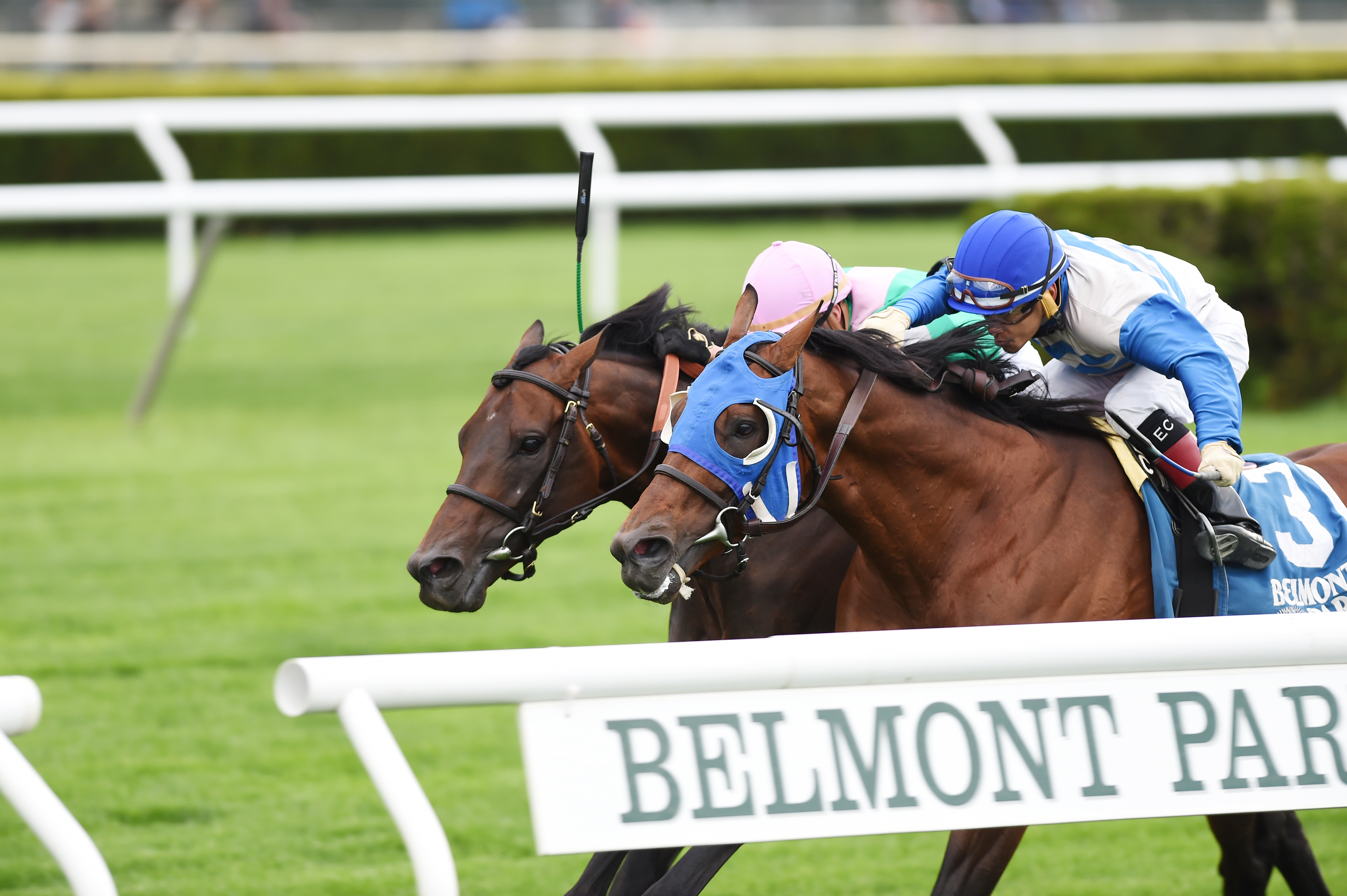 Smooth Daddy wins the 2017 Fort Marcy