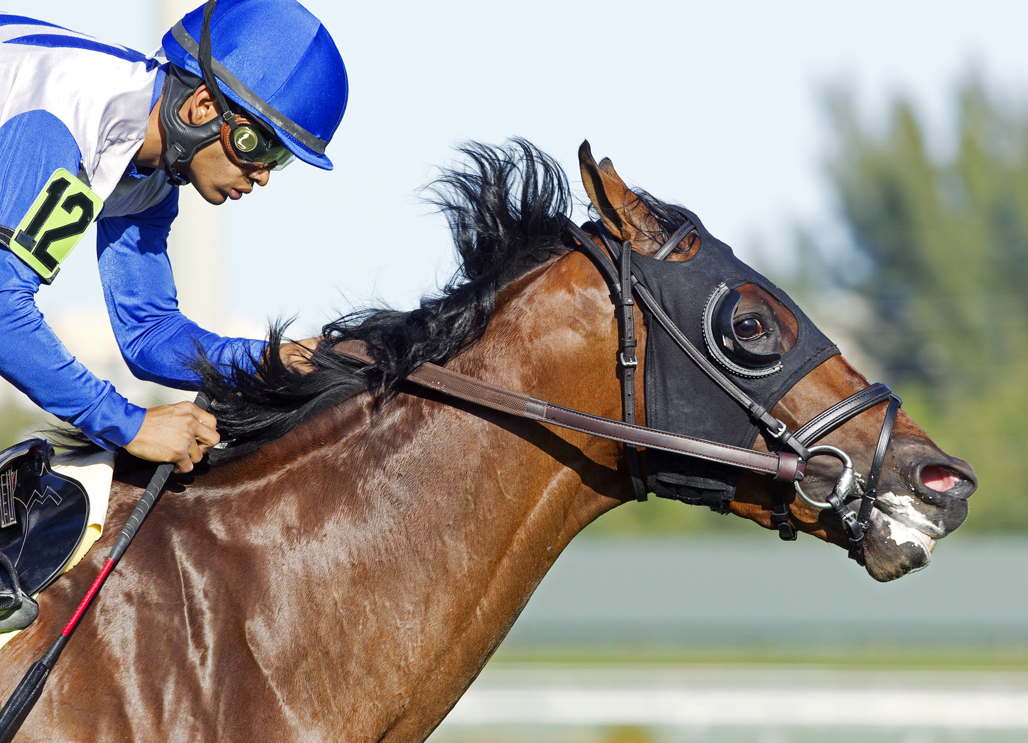 Smooth Daddy wins a maiden race