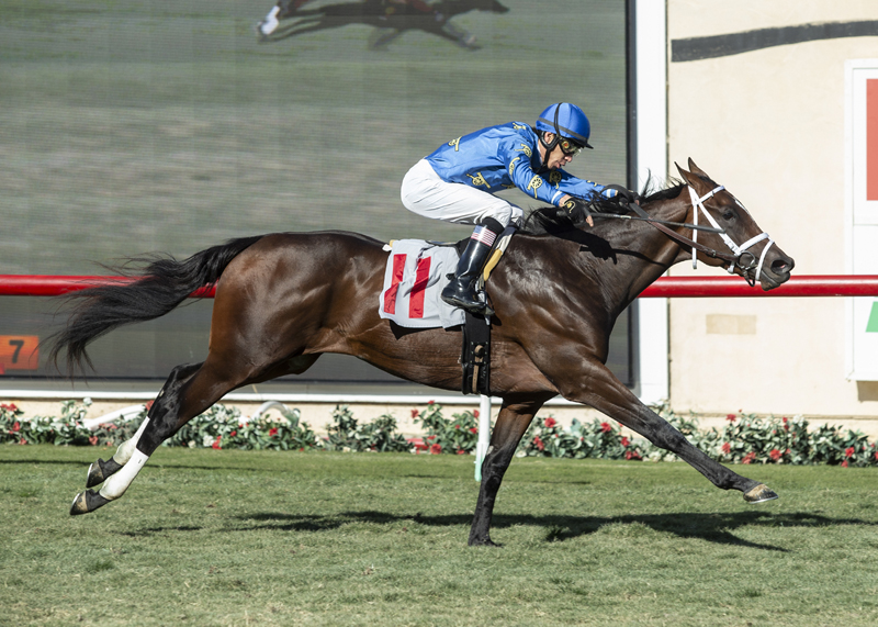 Smooth Like Strait wins the 2019 Cecil B. DeMille Stakes