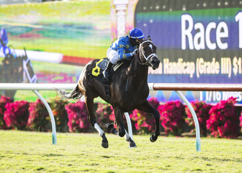 Smooth Like Strait/La Jolla Handicap