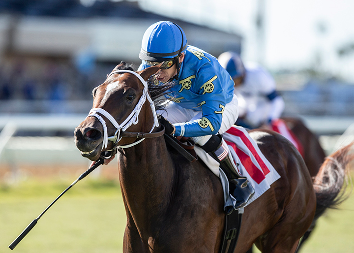 Smooth Like Strait wins the 2019 Cecil B. DeMille Stakes at Del Mar