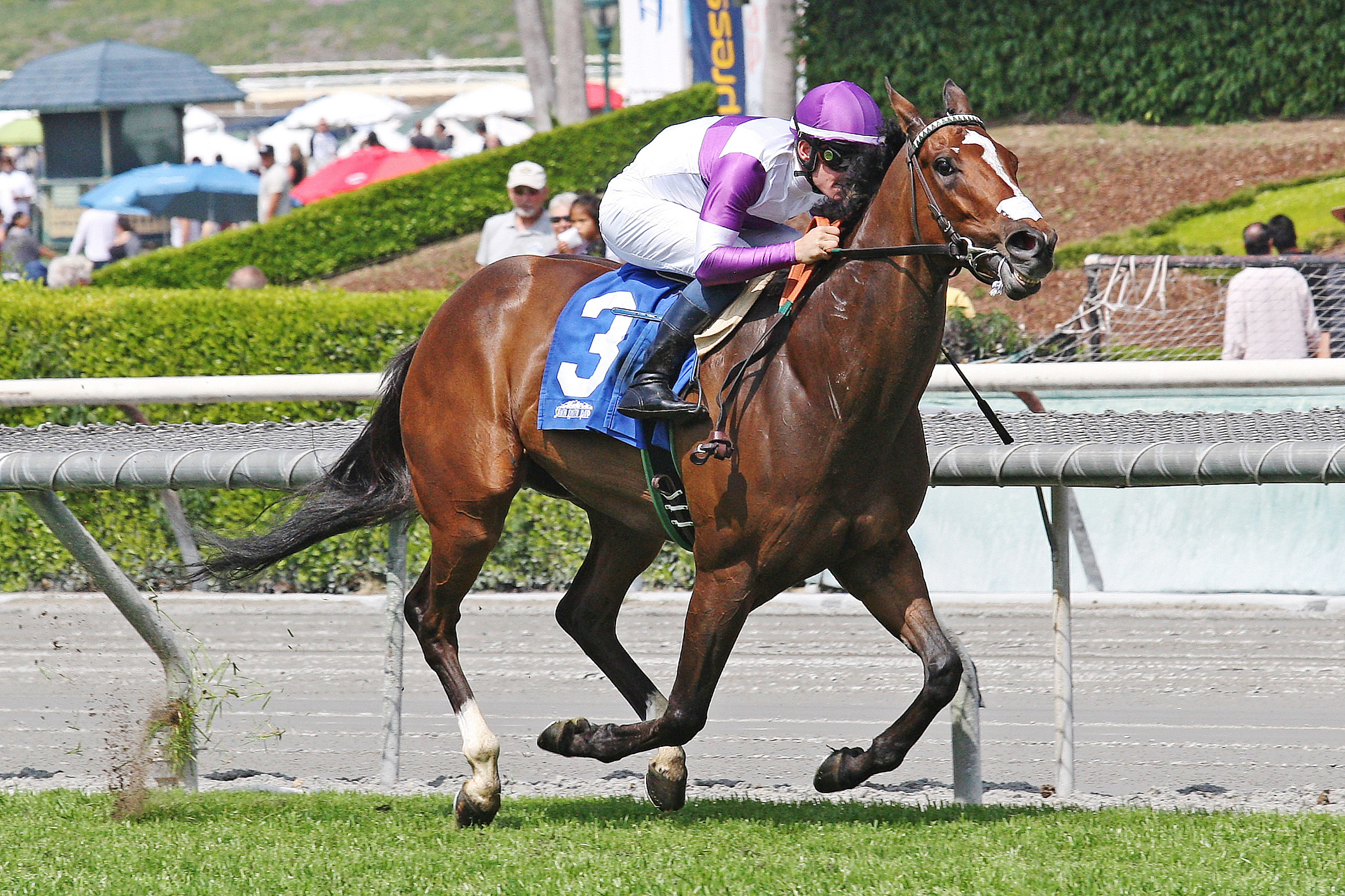 Smoove It wins the Irish O'Brien Stakes