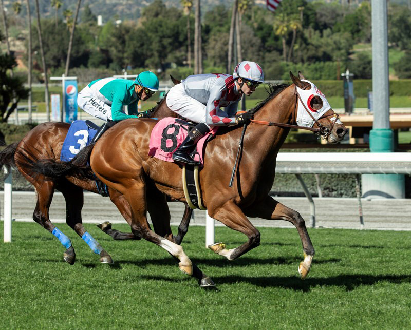 Smuggler's Run wins a Feb. 11 allowance at Santa Anita Park