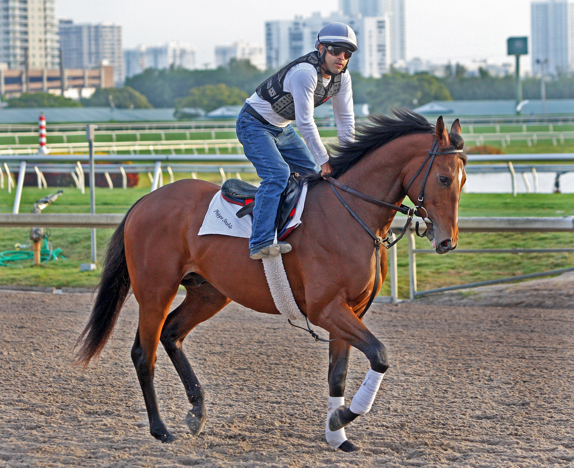 Snap Decision at Gulfstream in January 2017