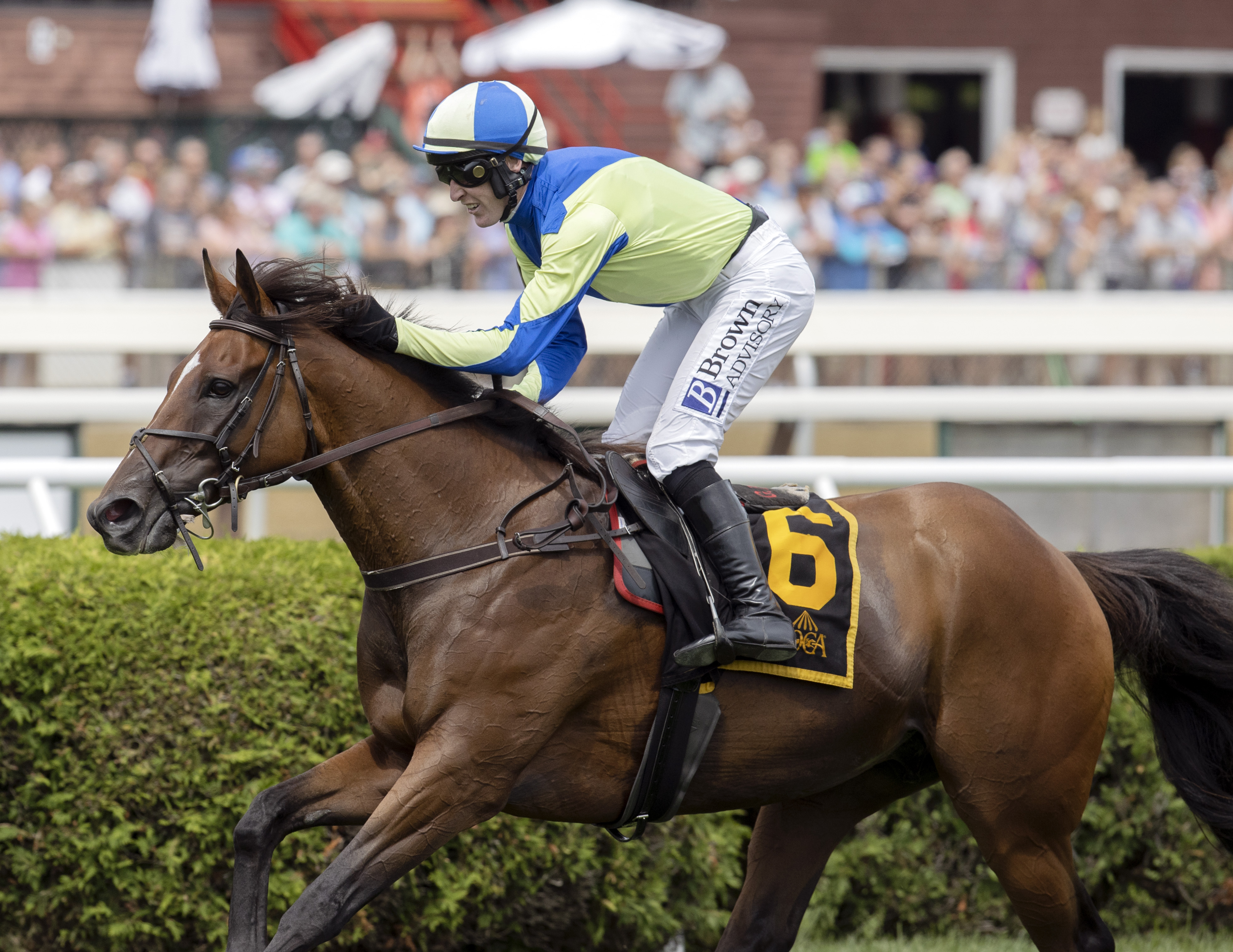 Snap Decision/Eclipse Awards