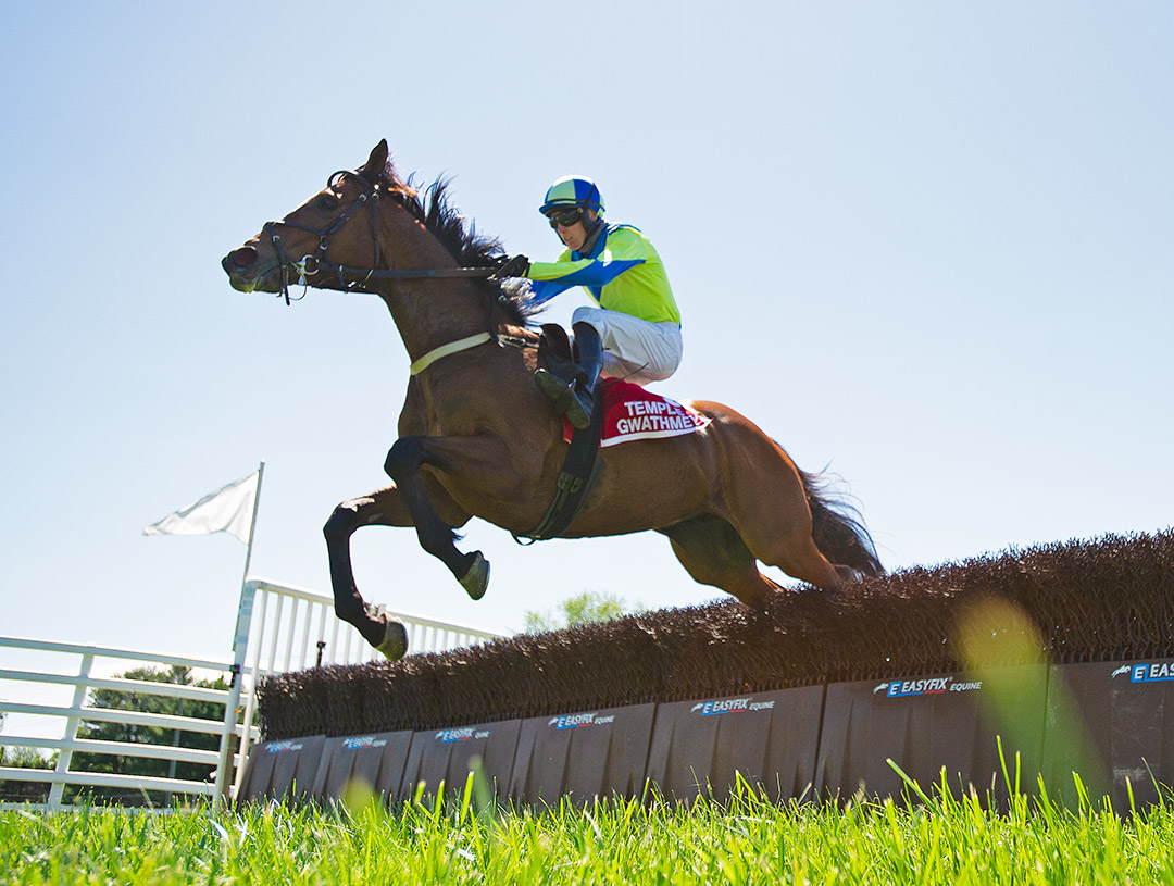 Snap Decision wins the 2021 Temple Gwathmey Hurdle at Middleburg
