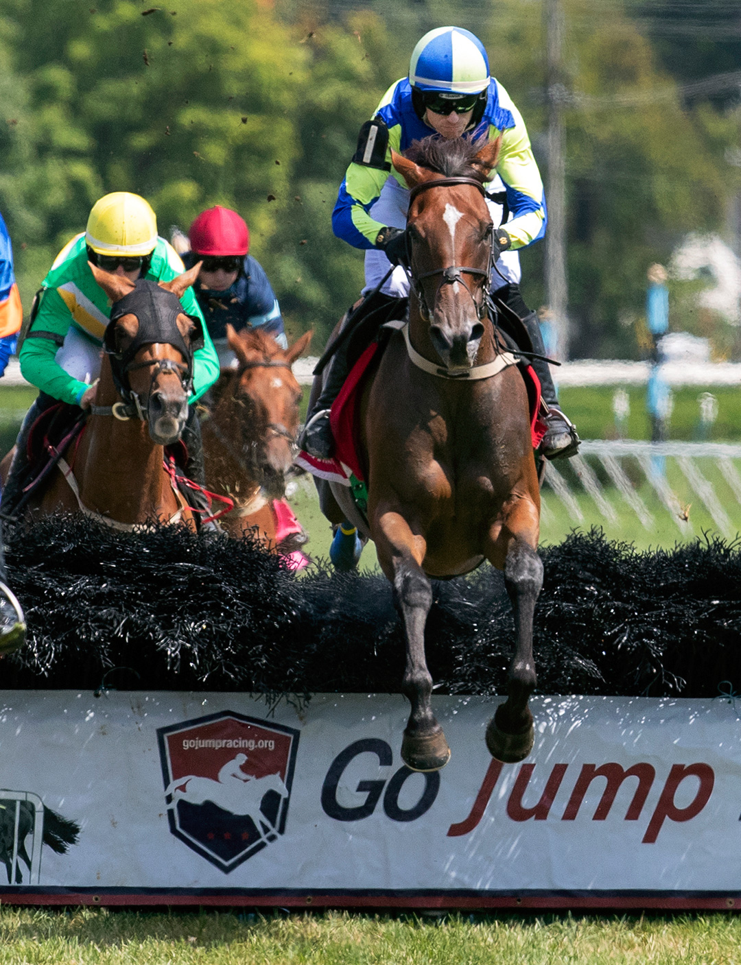 Snap Decision wins the 2020 Michael G. Walsh Novice Steeplechase at Saratoga
