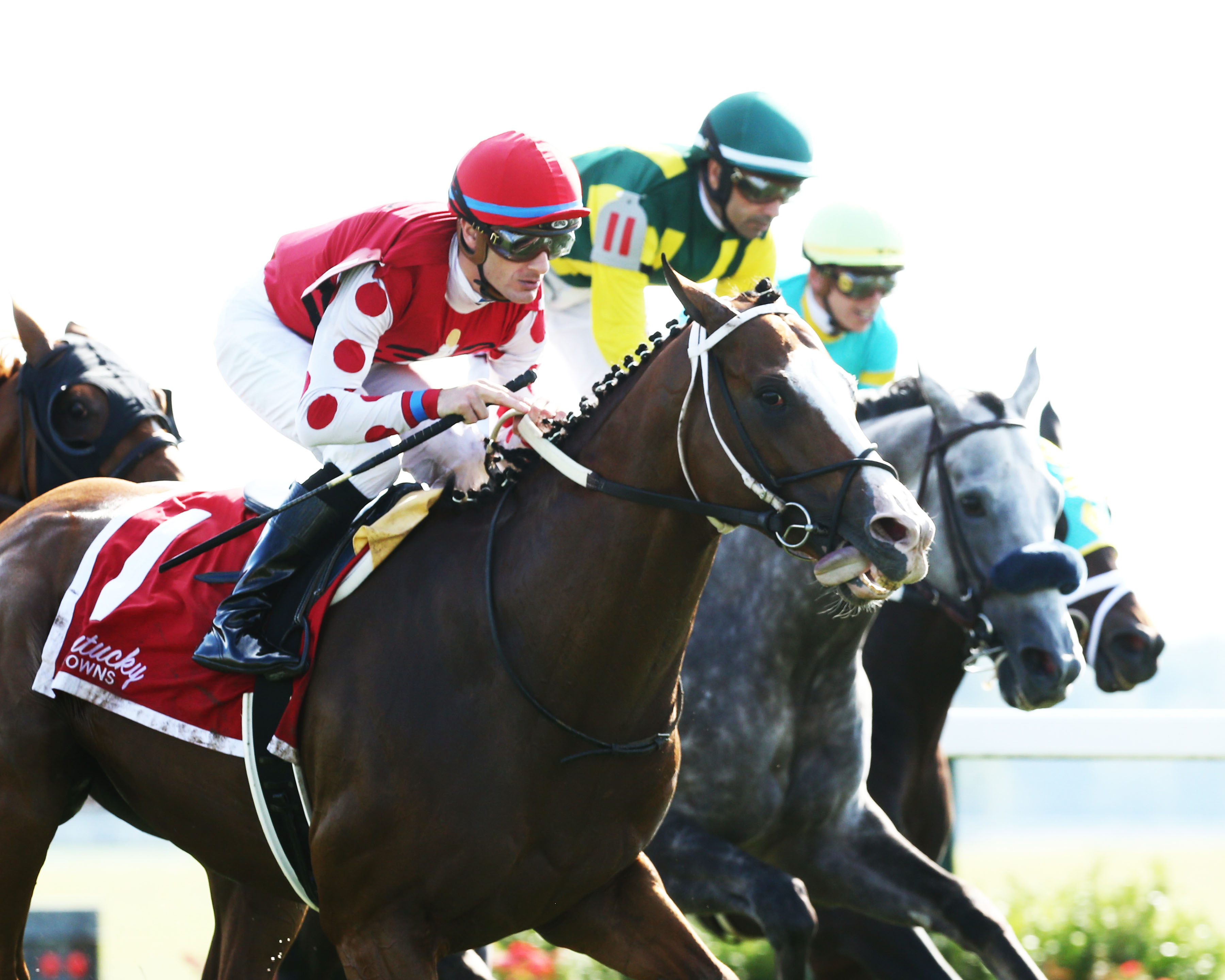 Snapper Sinclair wins the Tourist mile at Kentucky Downs on 8-31-2019.Coady