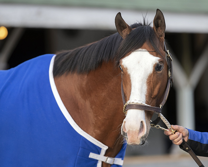 Snapper Sinclair in April 2018