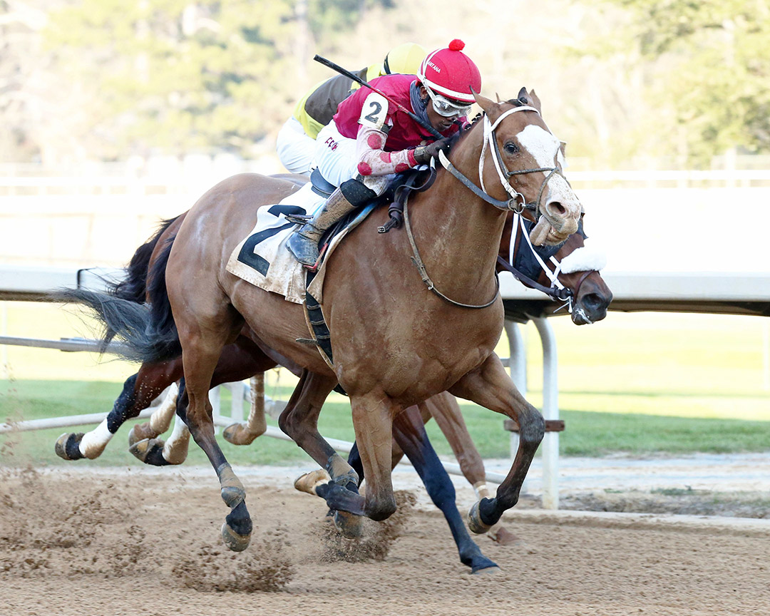 Snapper Sinclair wins a Feb. 4 allowance at Oaklawn