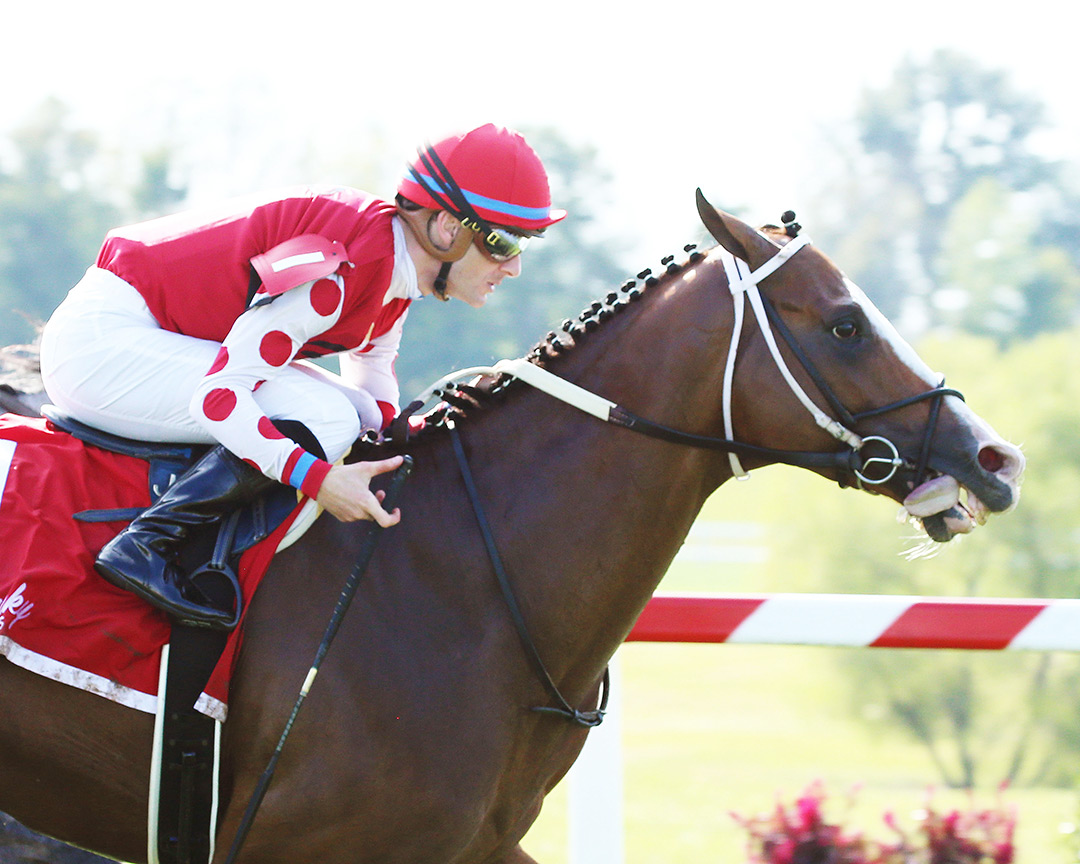 Snapper Sinclair wins the 2019 Tourist Mile at Kentucky Downs