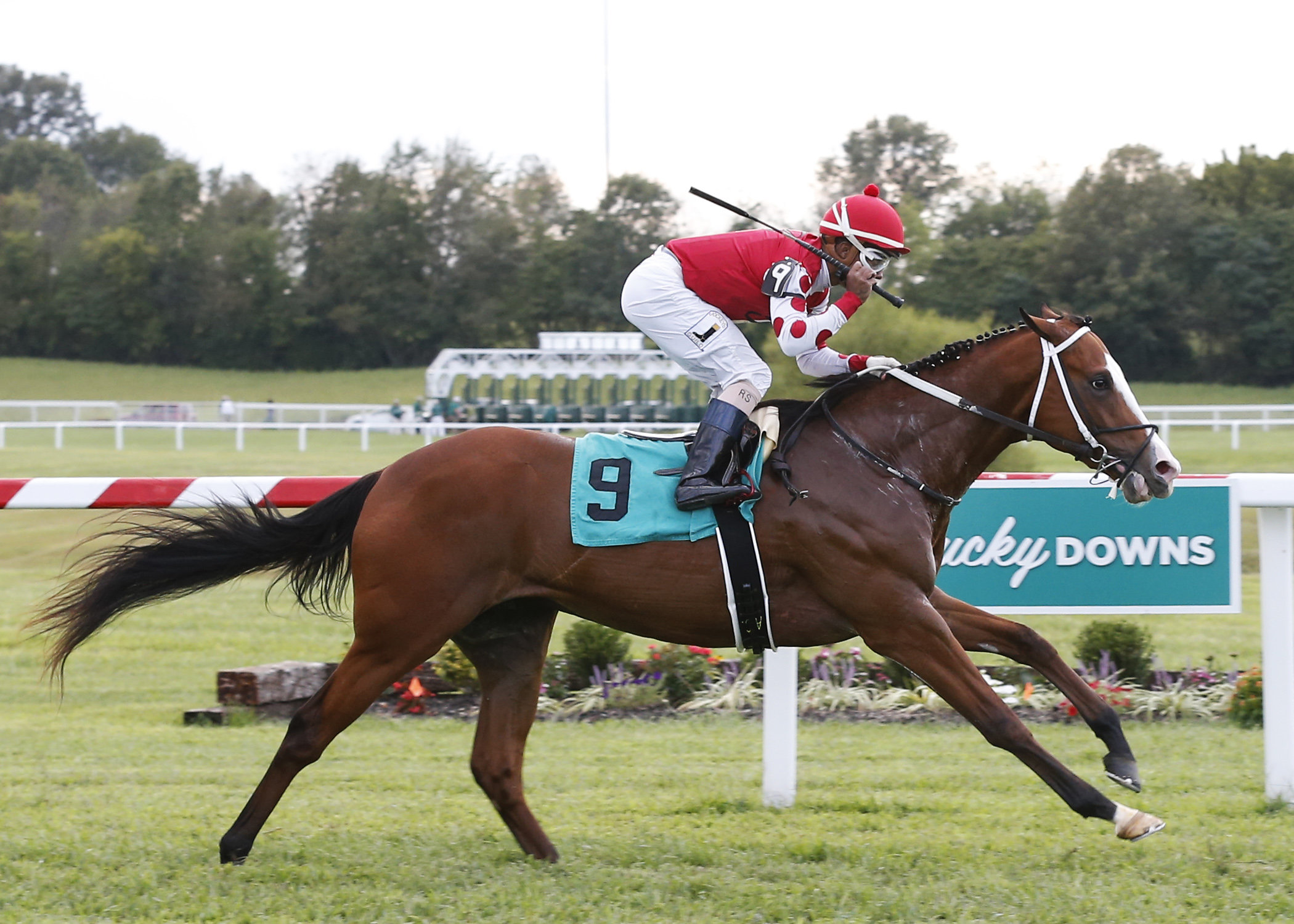 Snapper Sinclair wins the Kentucky Downs Juvenile Stakes 9.6.17