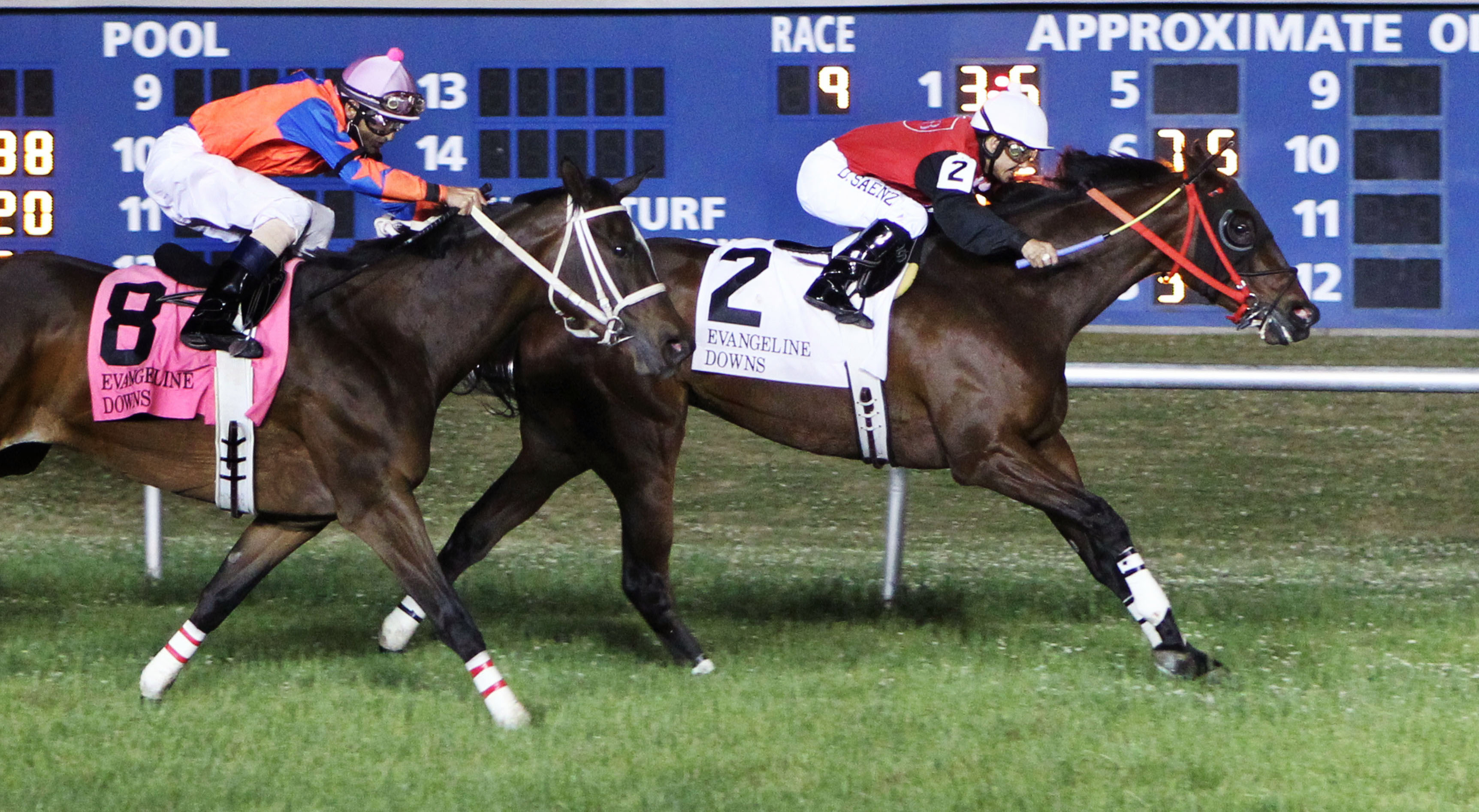 Snappy Girl wins the 2014 Tellike Stakes