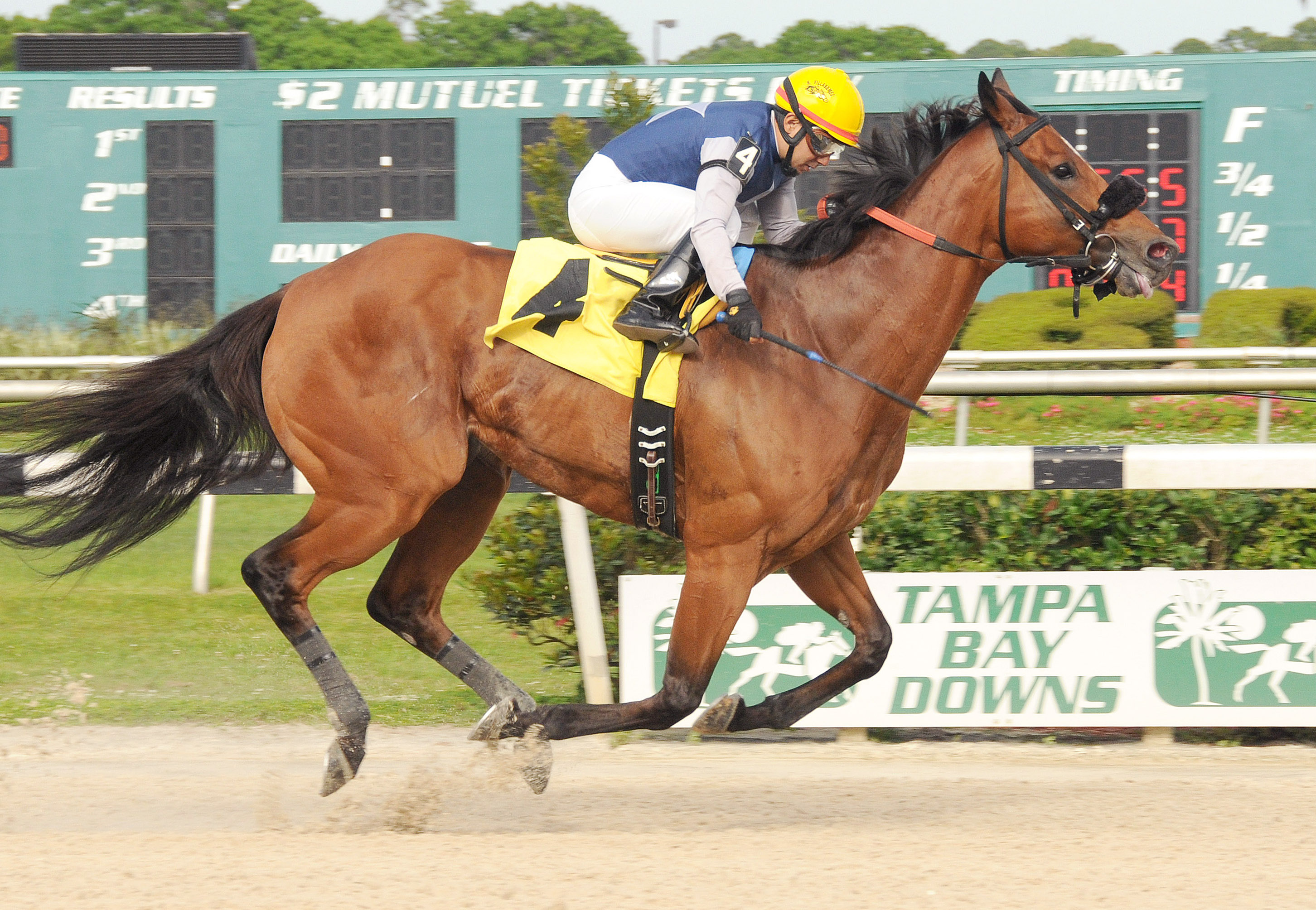 Sneaking Uponyou wins the Sprint Stakes