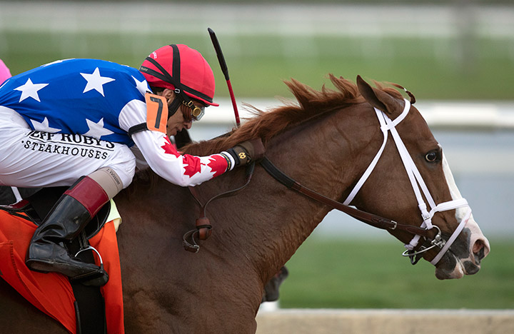 Sniper Shot wins a Jan. 17 allowance at Gulfstream Park