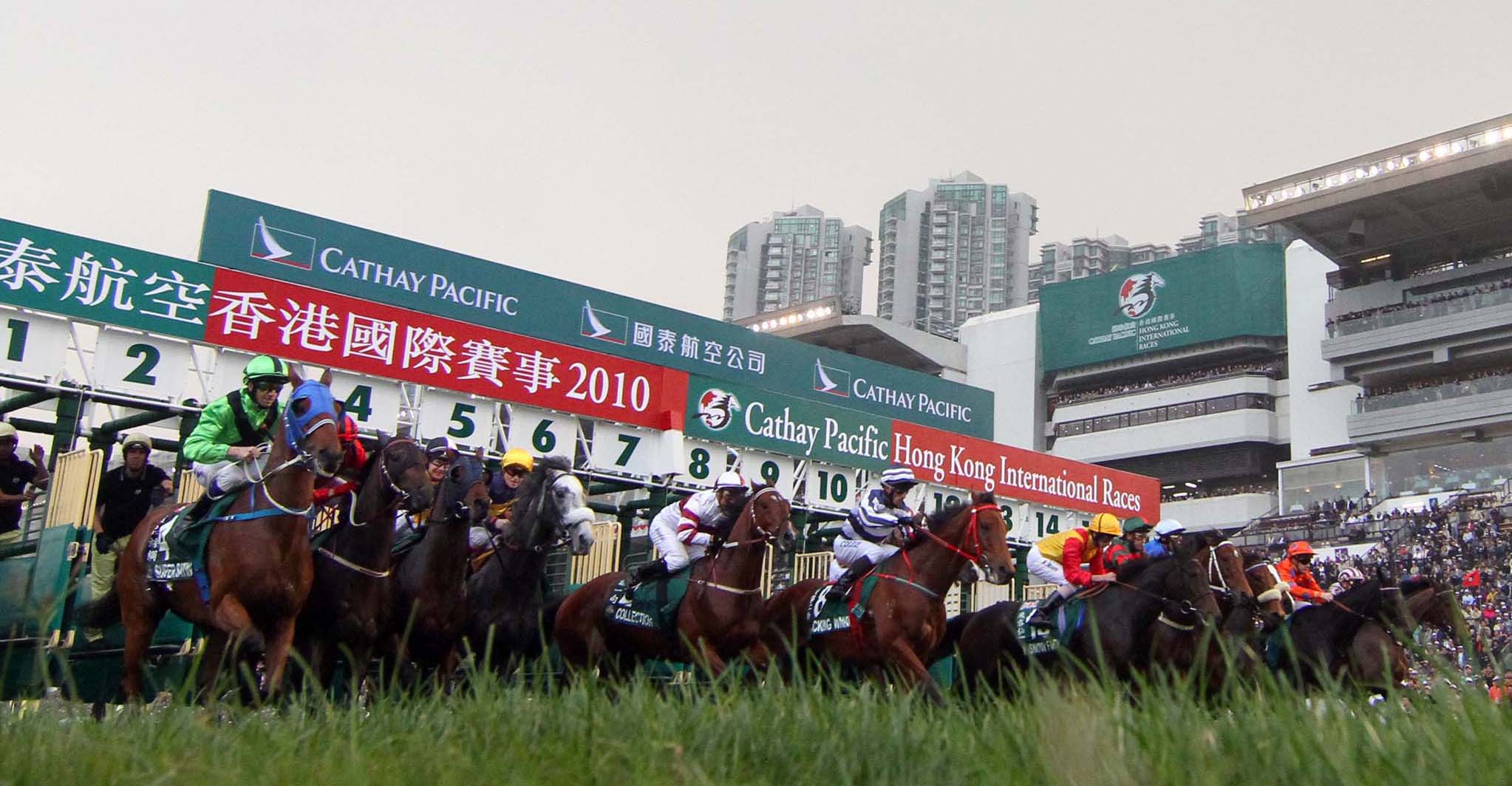 Hong Kong racing, 2010 Hong Kong Cup