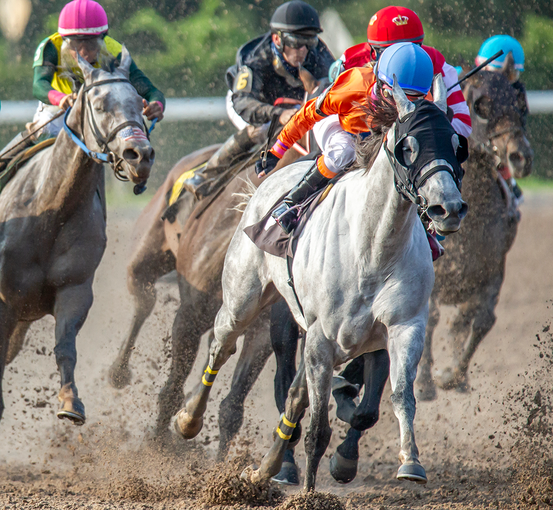 Snowball wins the 2020 Louisiana Cup Filly and Mare Sprint at Louisiana Downs