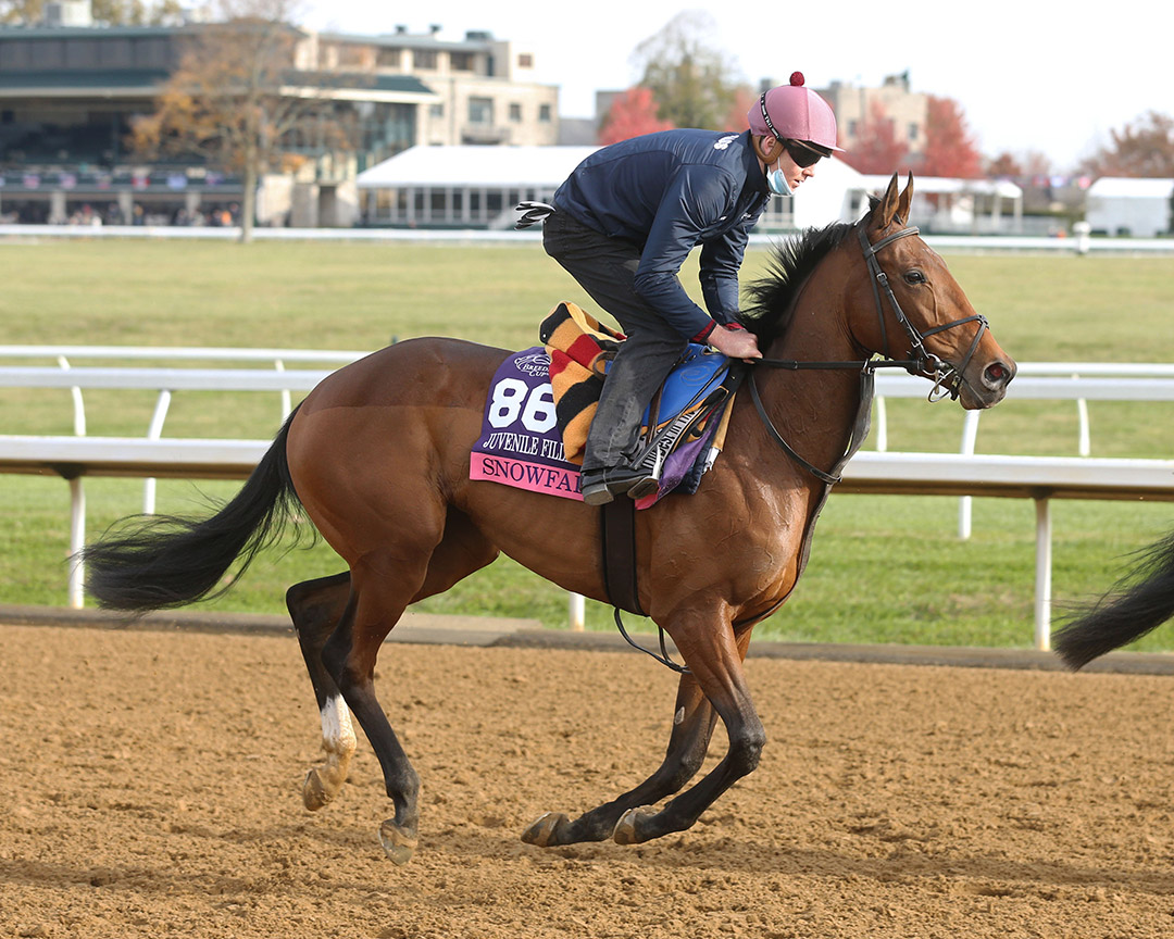 Snowfall trains for the Breeders' Cup at Keeneland Racecourse in November 2020
