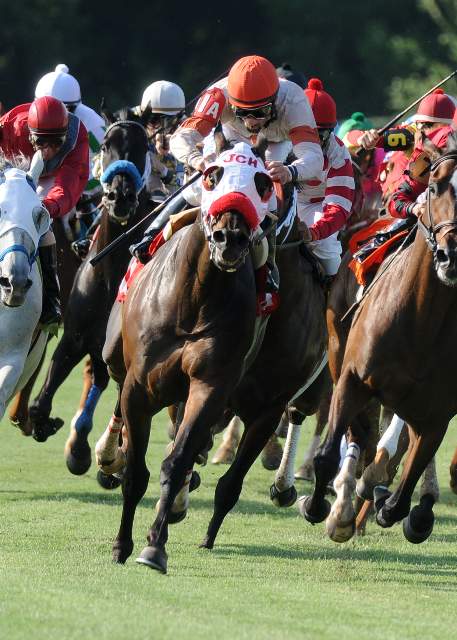 Snug/Louisiana Cup Turf Classic