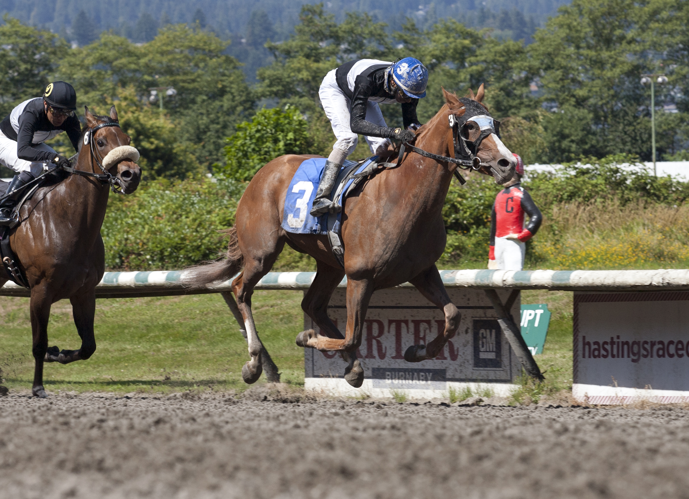 Snuggles winning the British Columbia Cup Dogwood Handicap