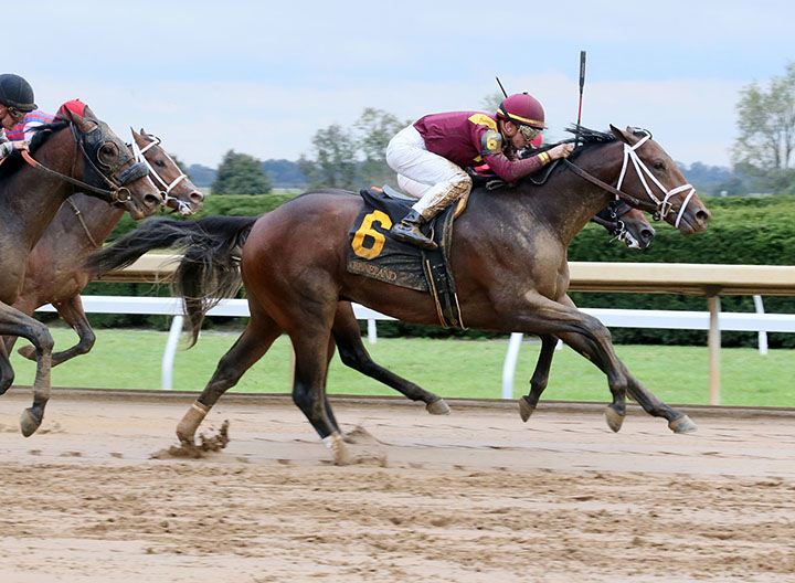 So Alive wins an Oct. 27 maiden race