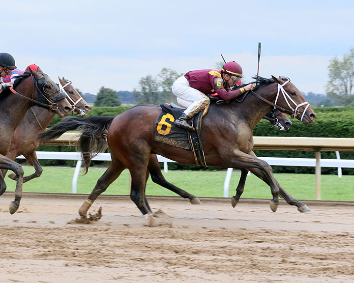 So Alive wins an Oct. 27 maiden race