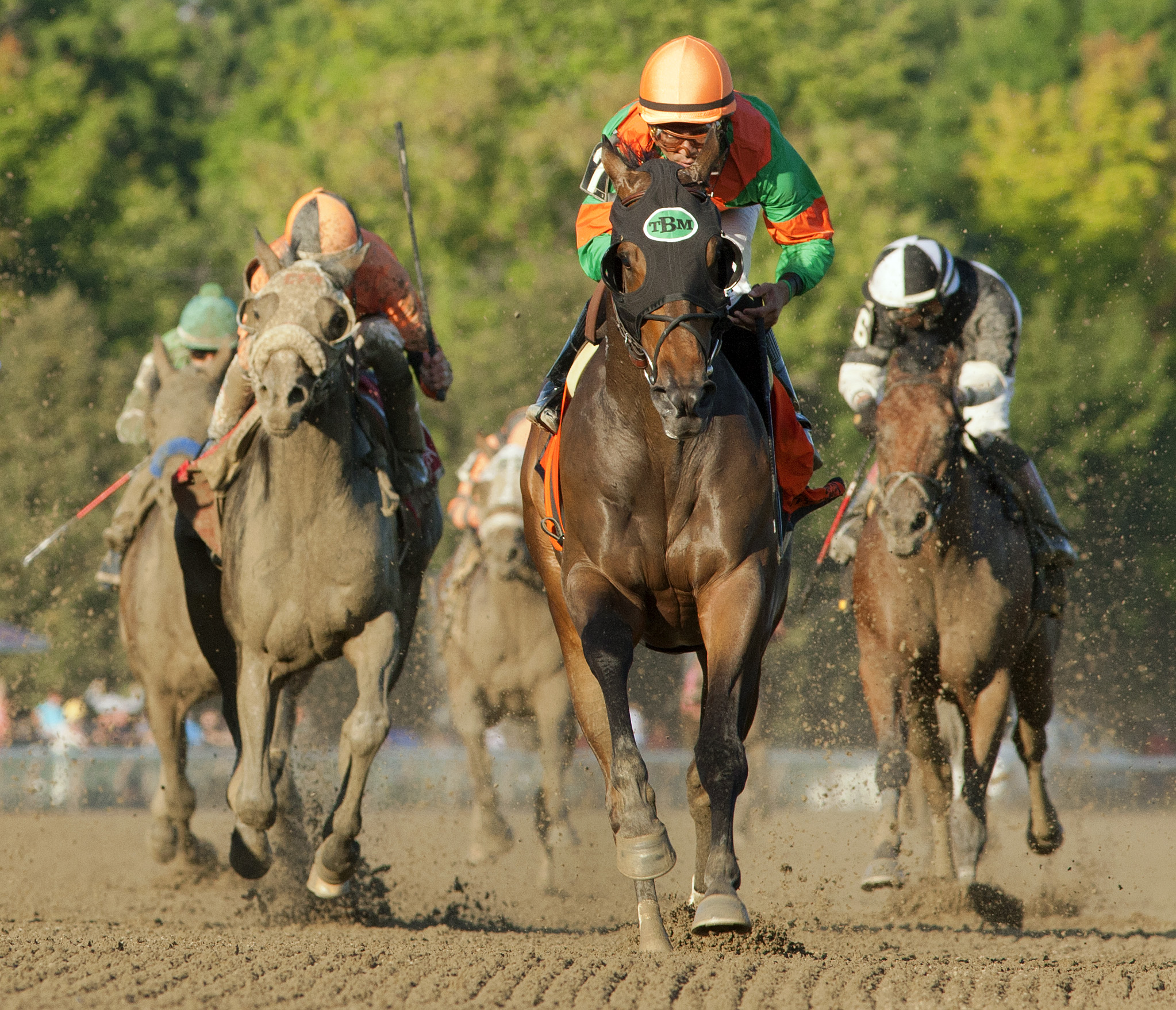 So Lonesome wins 2014 Albany