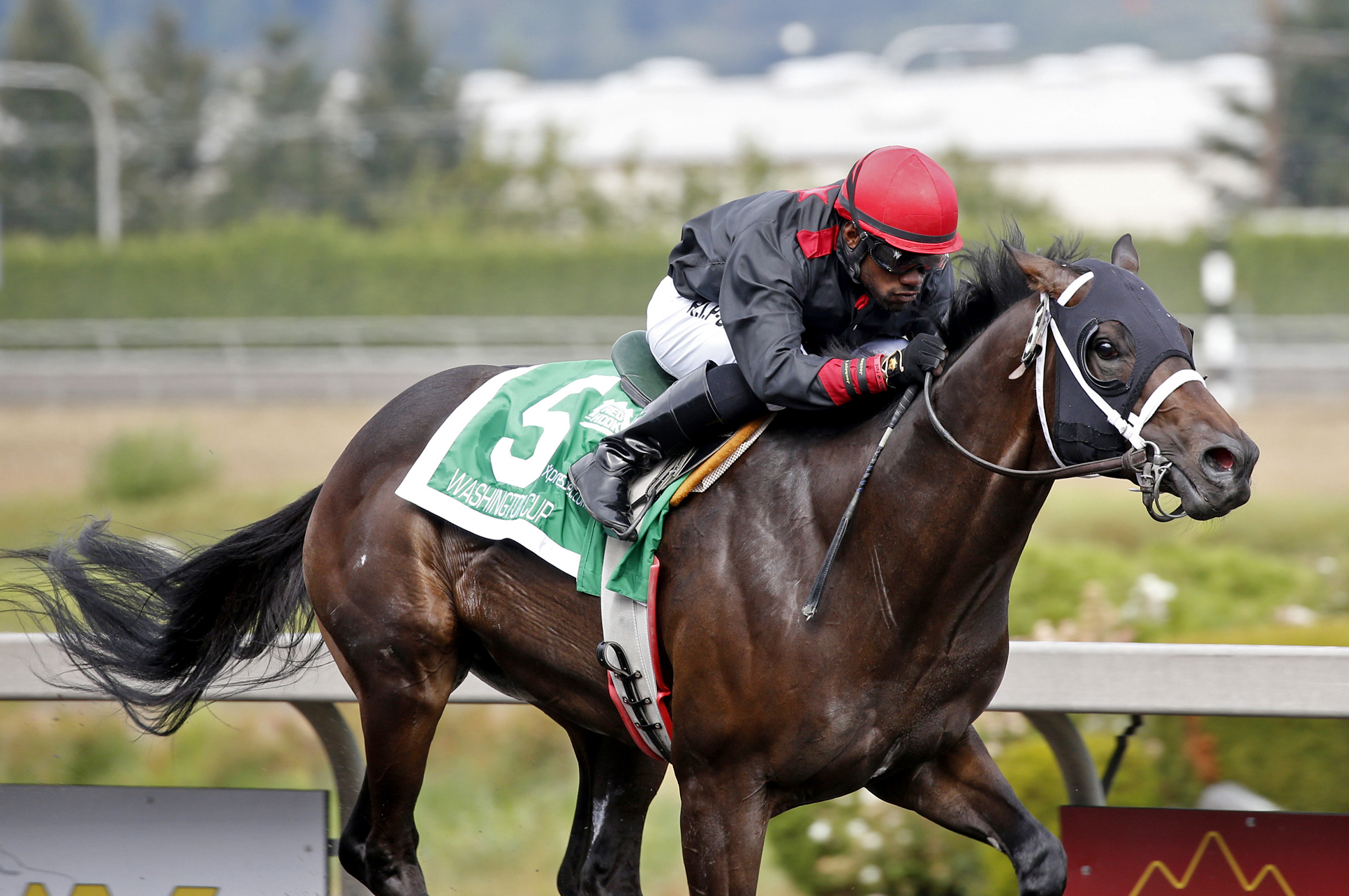 So Lucky wins the Washington Cup