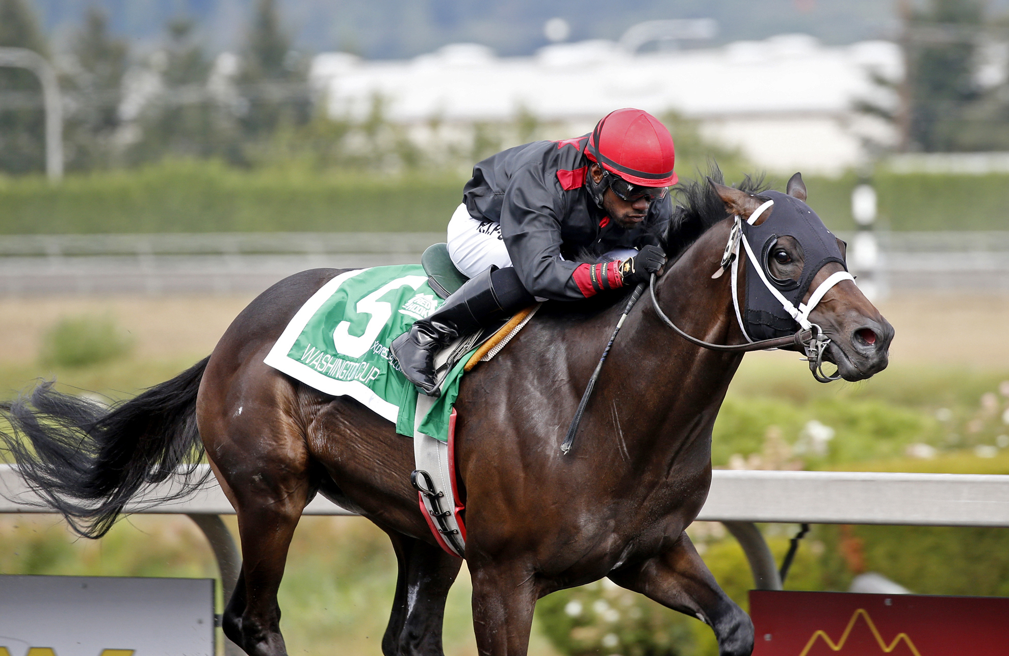 So Lucky wins the Washington Cup