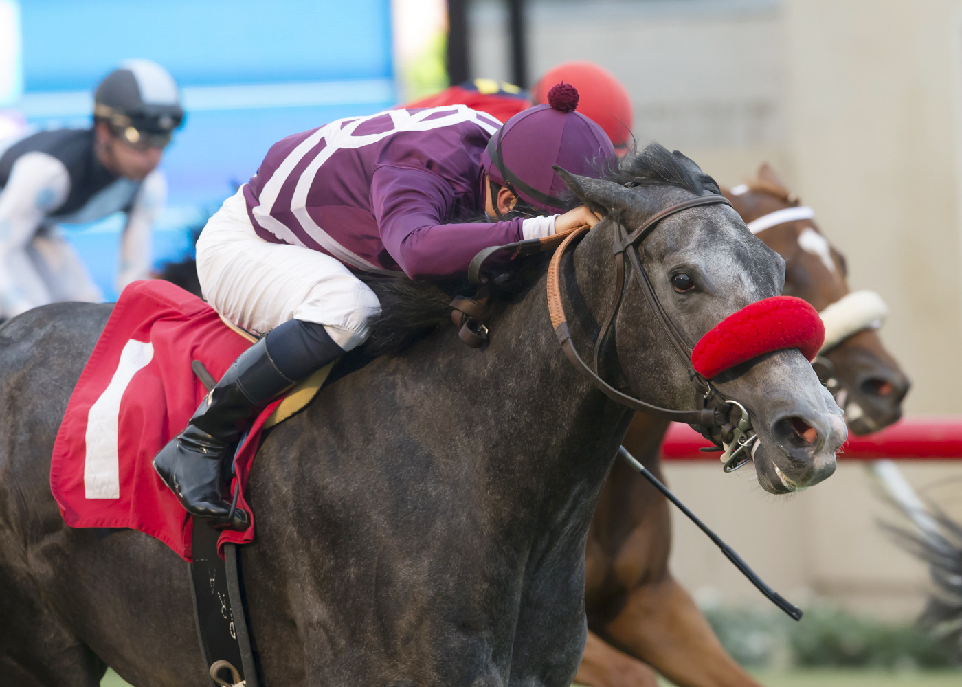So Sweetitiz wins the Daisycutter Handicap