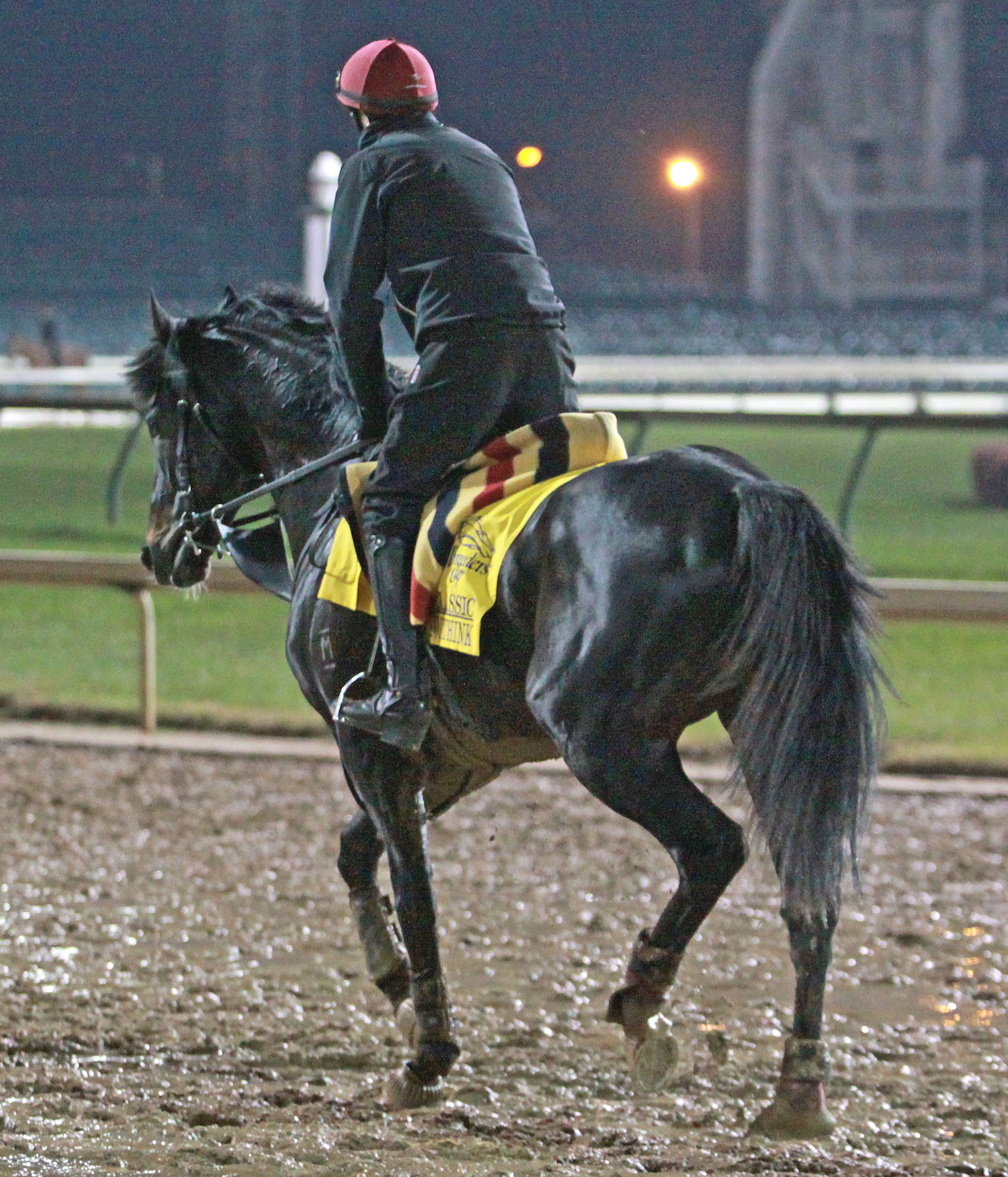 So You Think, Nov. 4, 2011, Churchill Downs