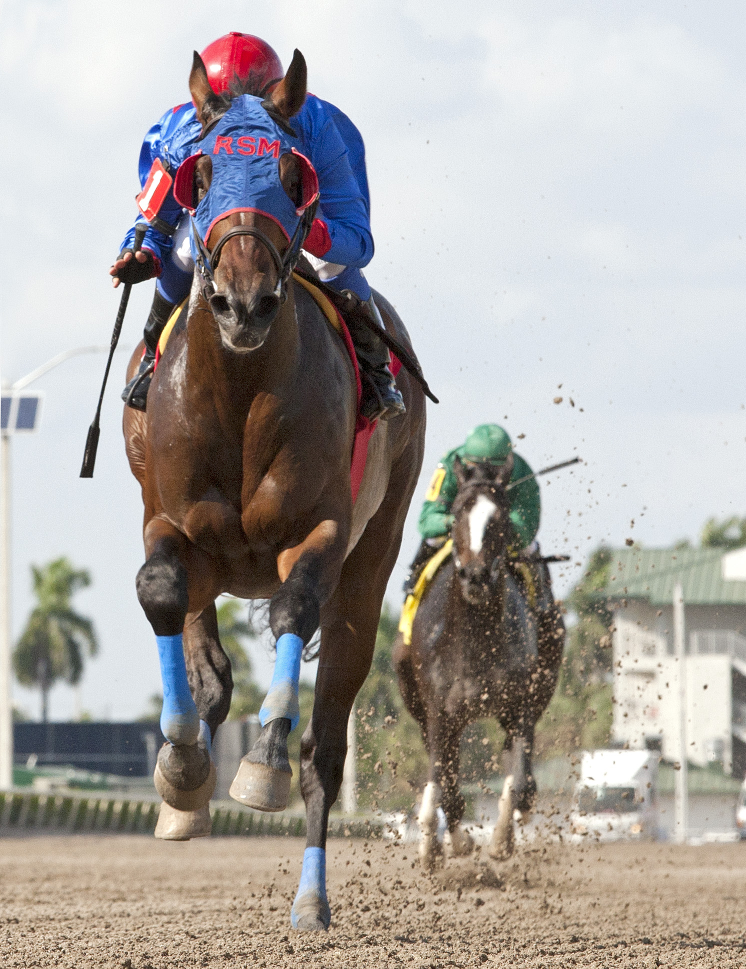 Social Inclusion beats Honor Code in an allowance race