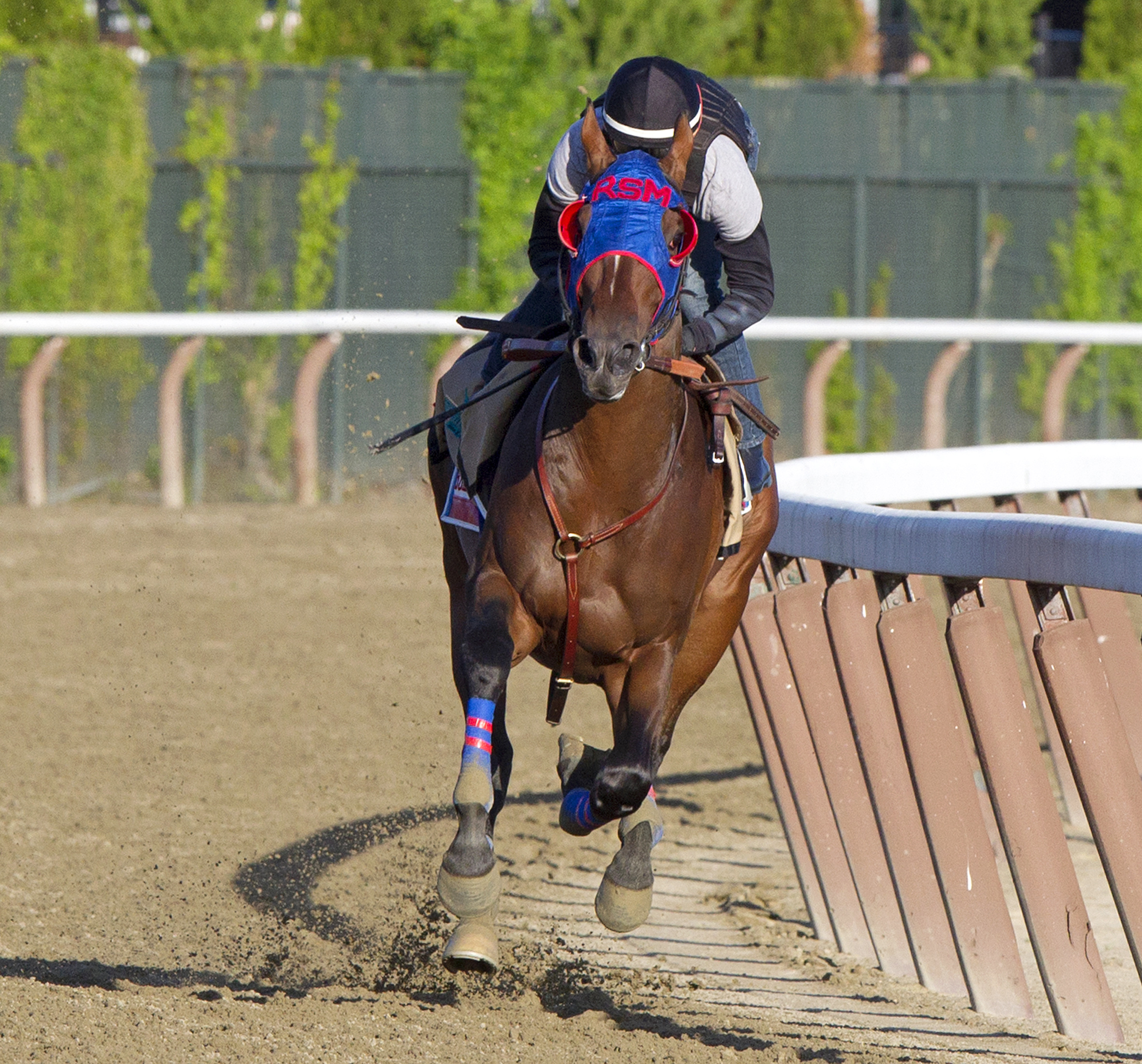 Social Inclusion at Belmont on May 31