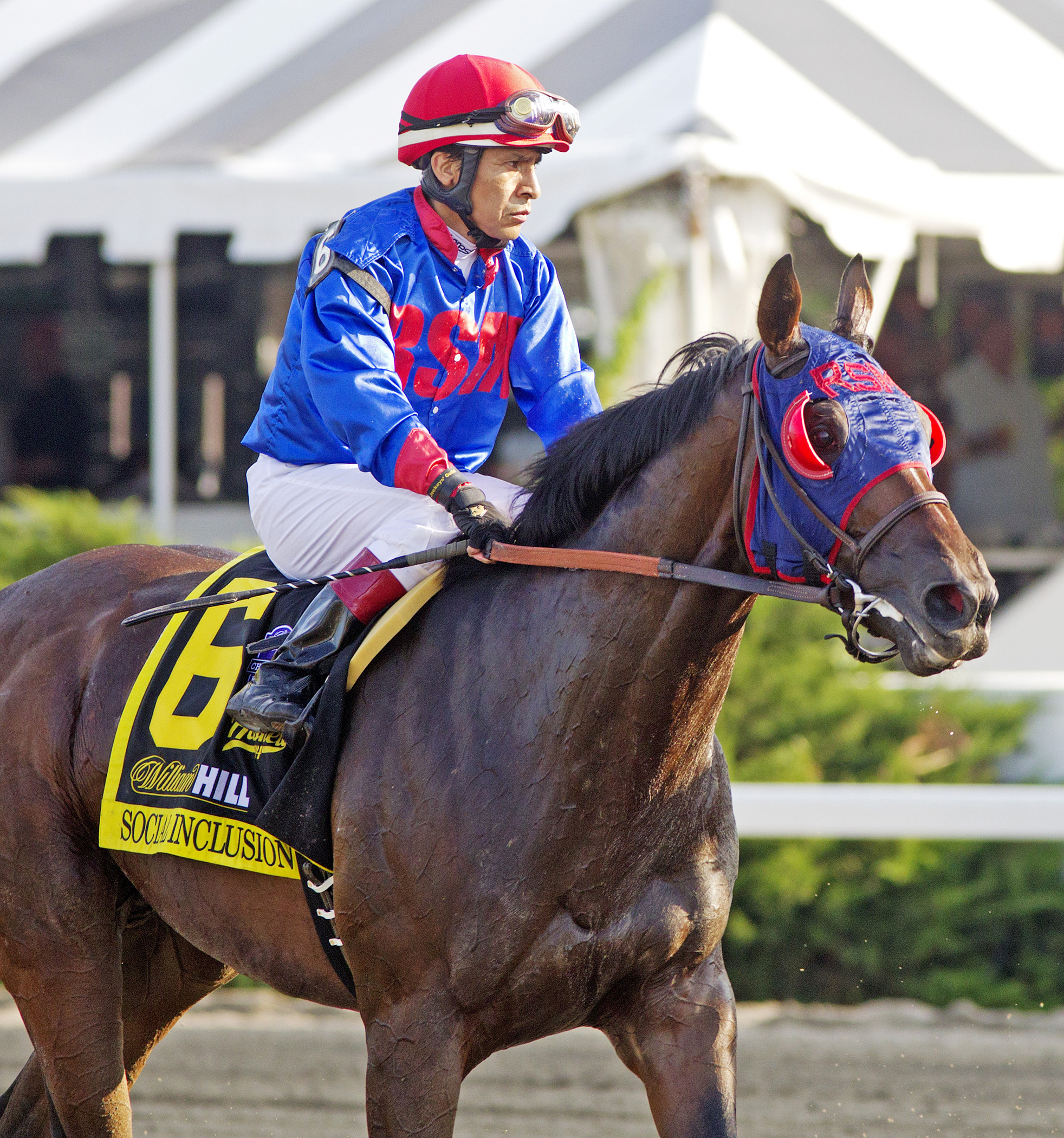 Social Inclusion finishes seventh in the Haskell