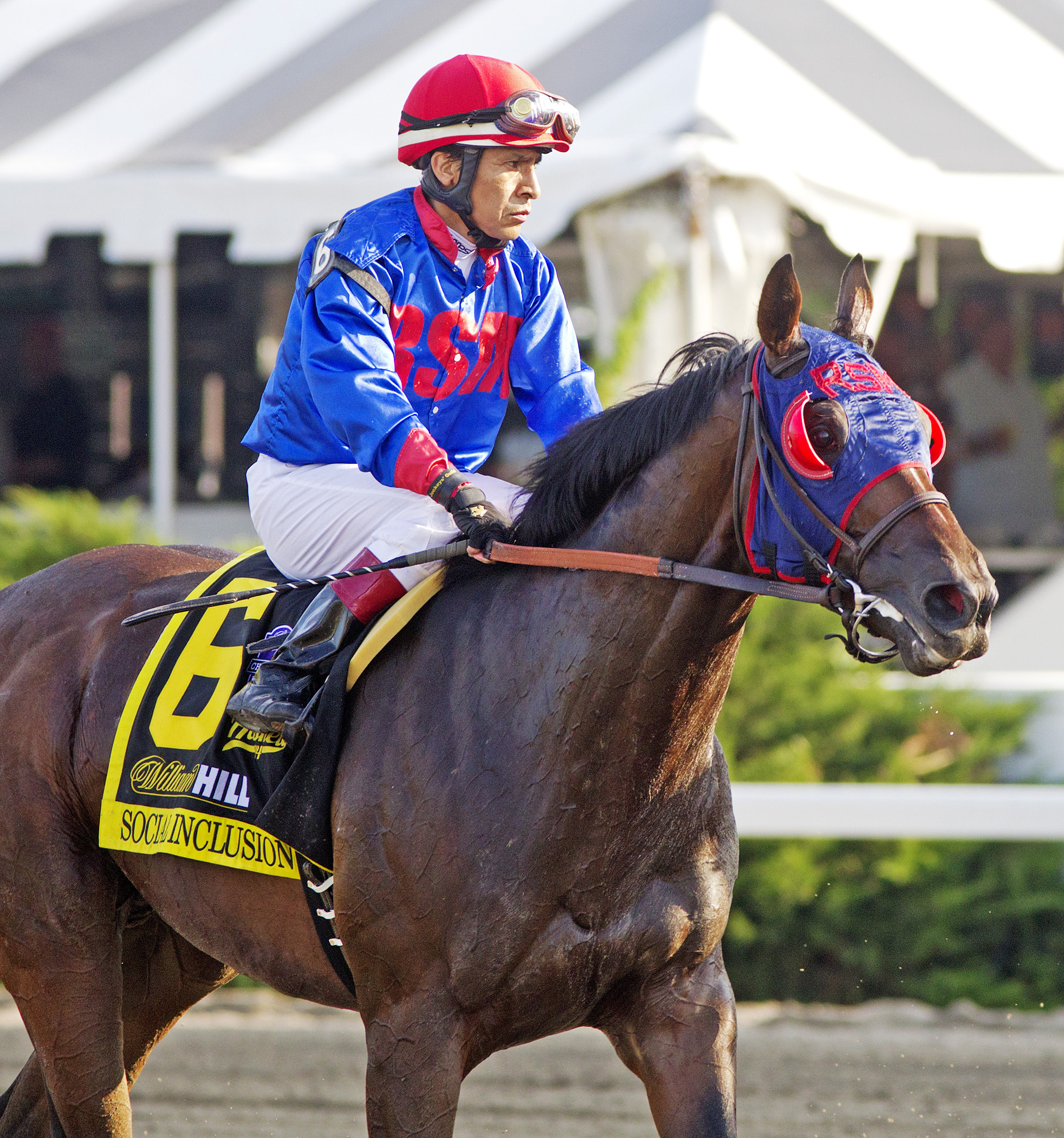 Social Inclusion finishes seventh in the 2014 Haskell