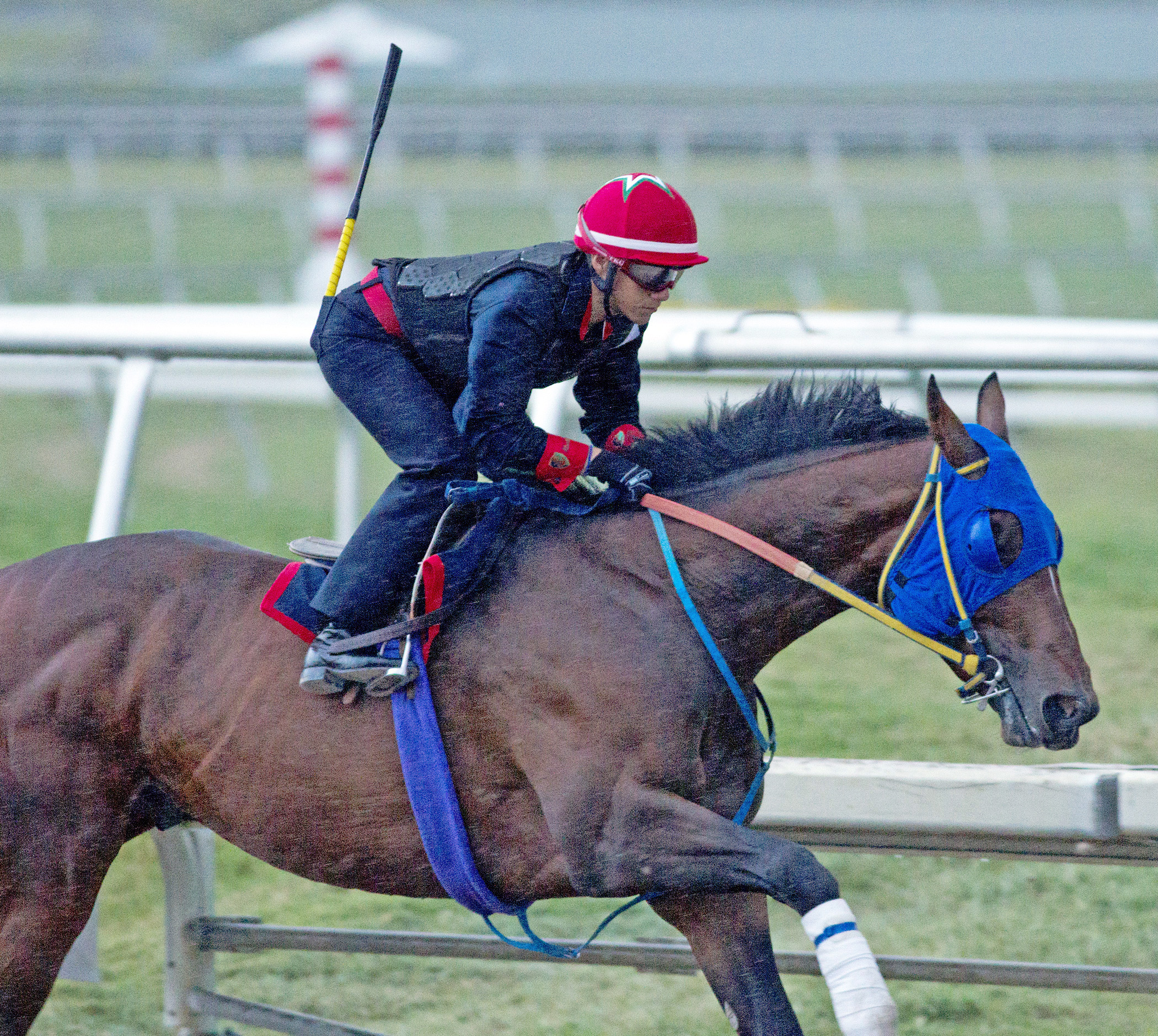 Social Inclusion on track on March 22