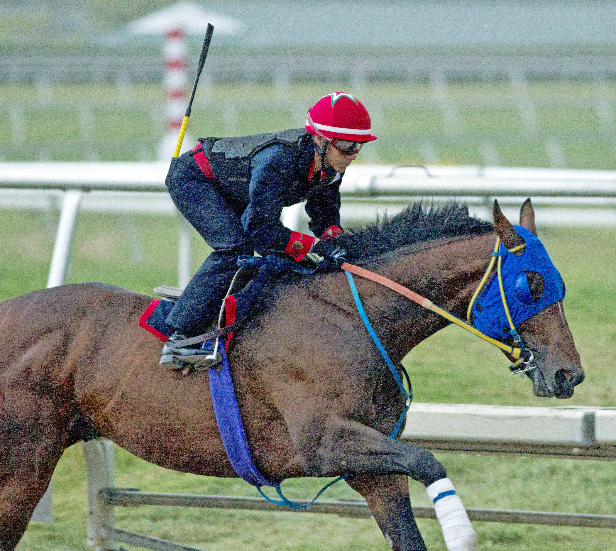 Social Inclusion on track on March 22