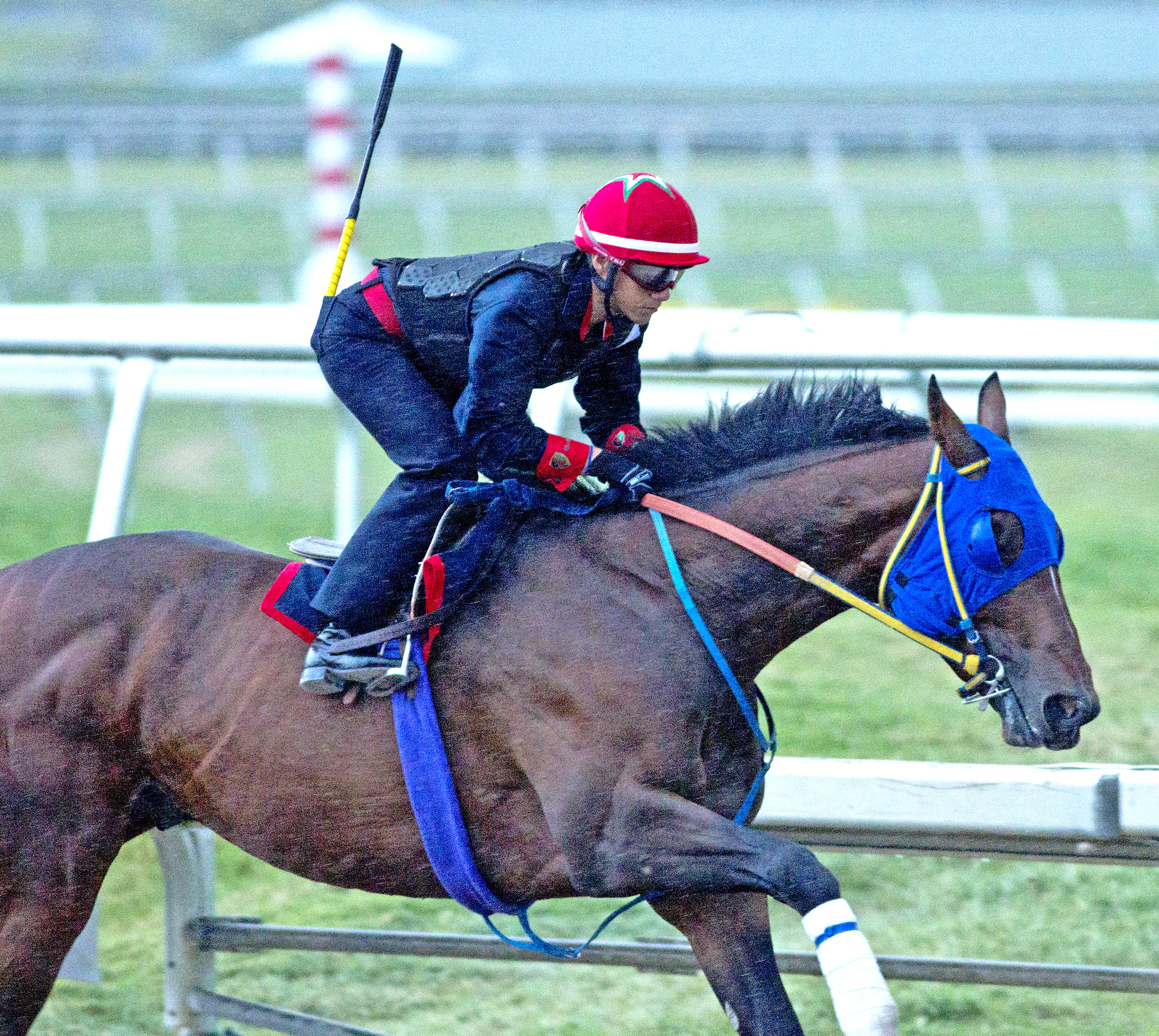 Social Inclusion Gulfstream 3-22-14