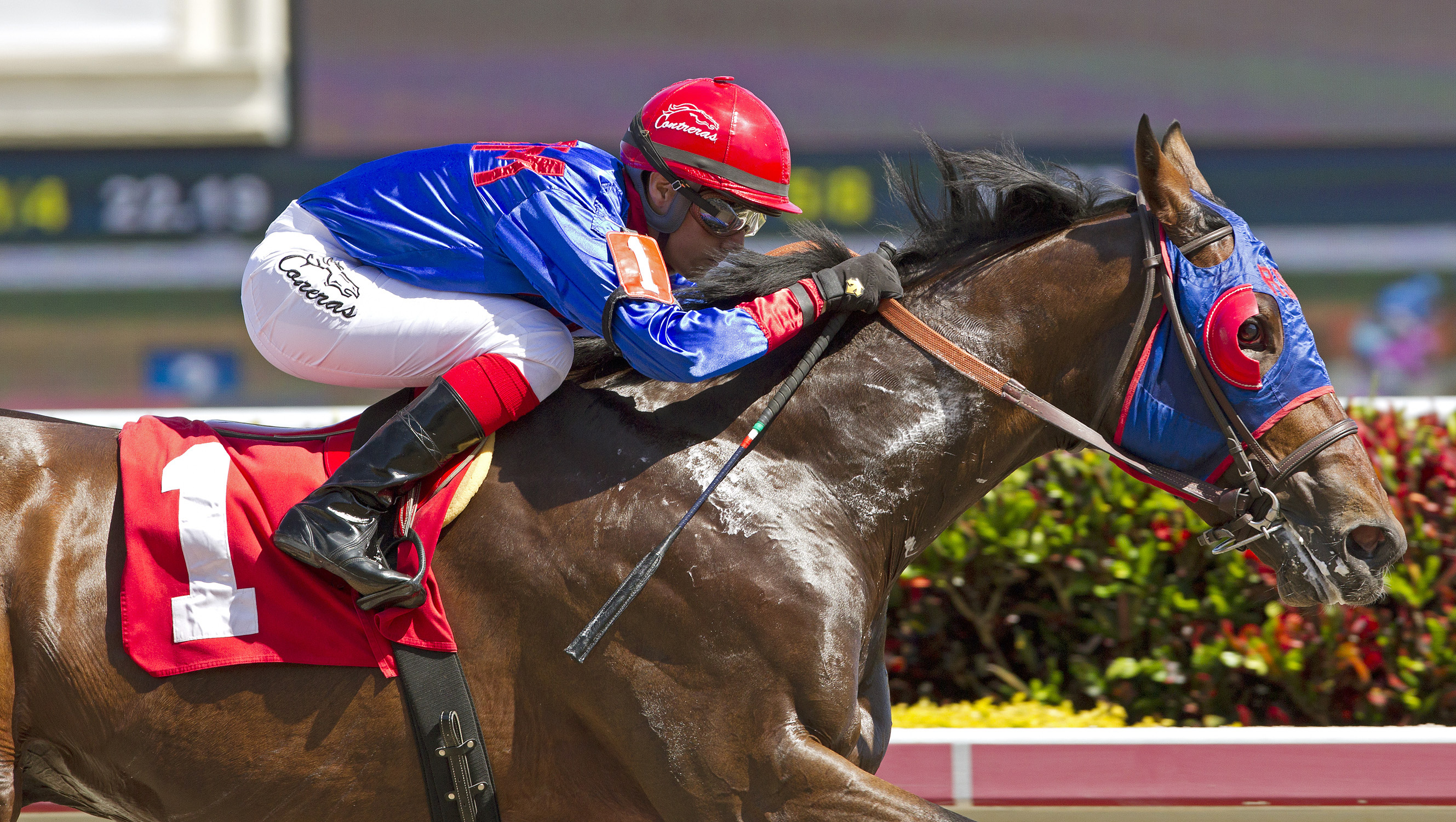 Social Inclusion wins an allowance race