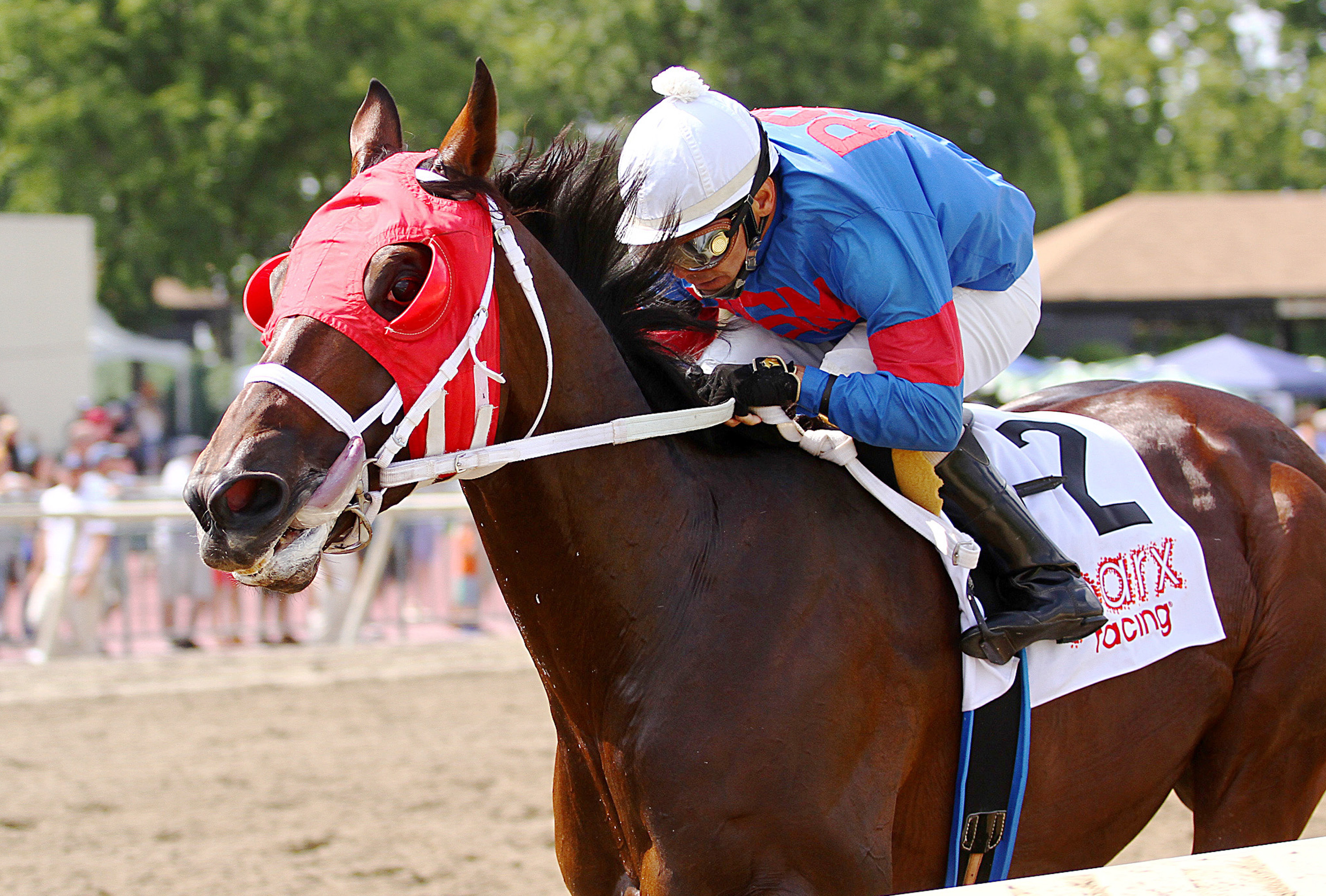 Social Inclusion wins a second-level optional-claiming race at Parx