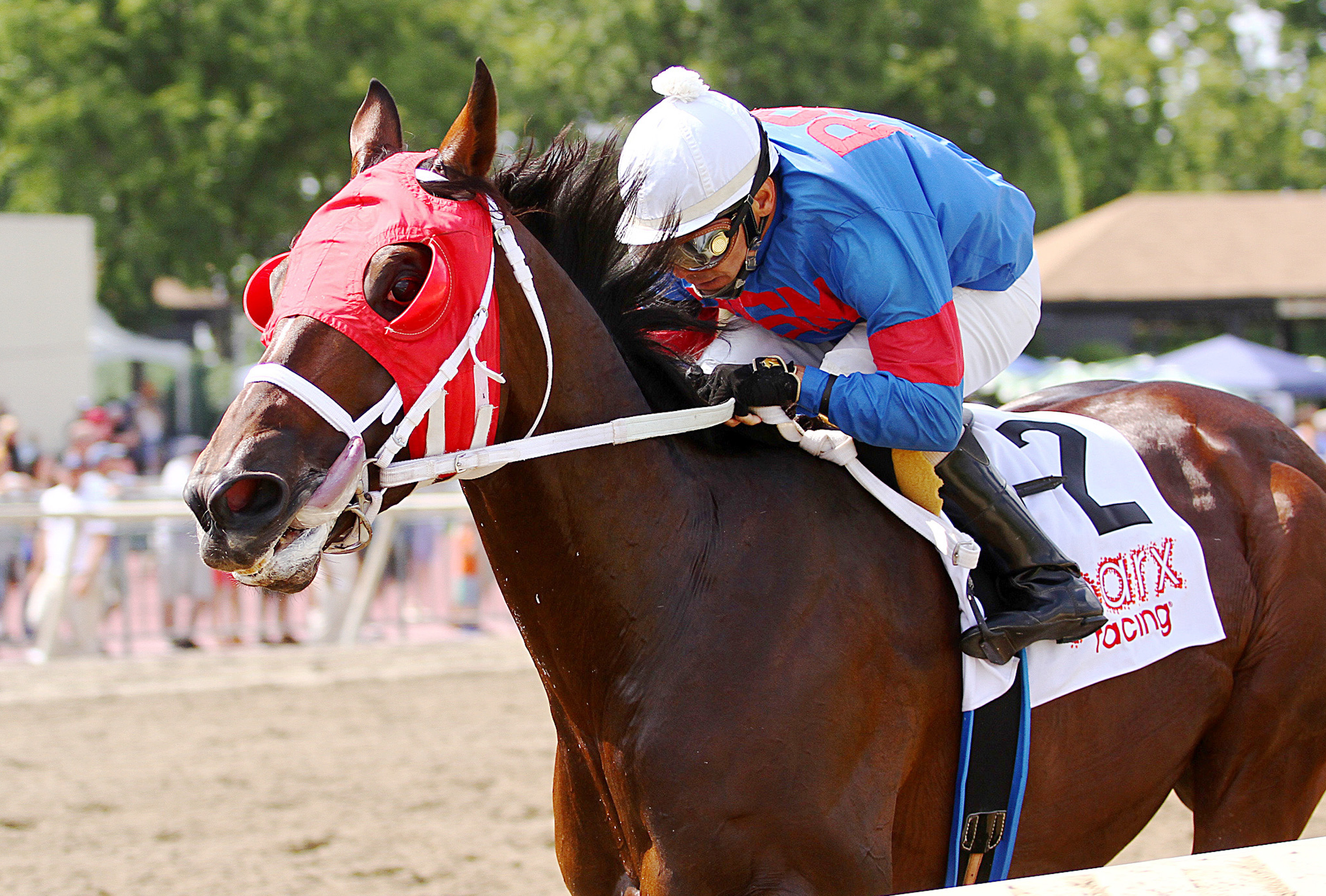 Social Inclusion wins a second-level optional-claiming race at Parx