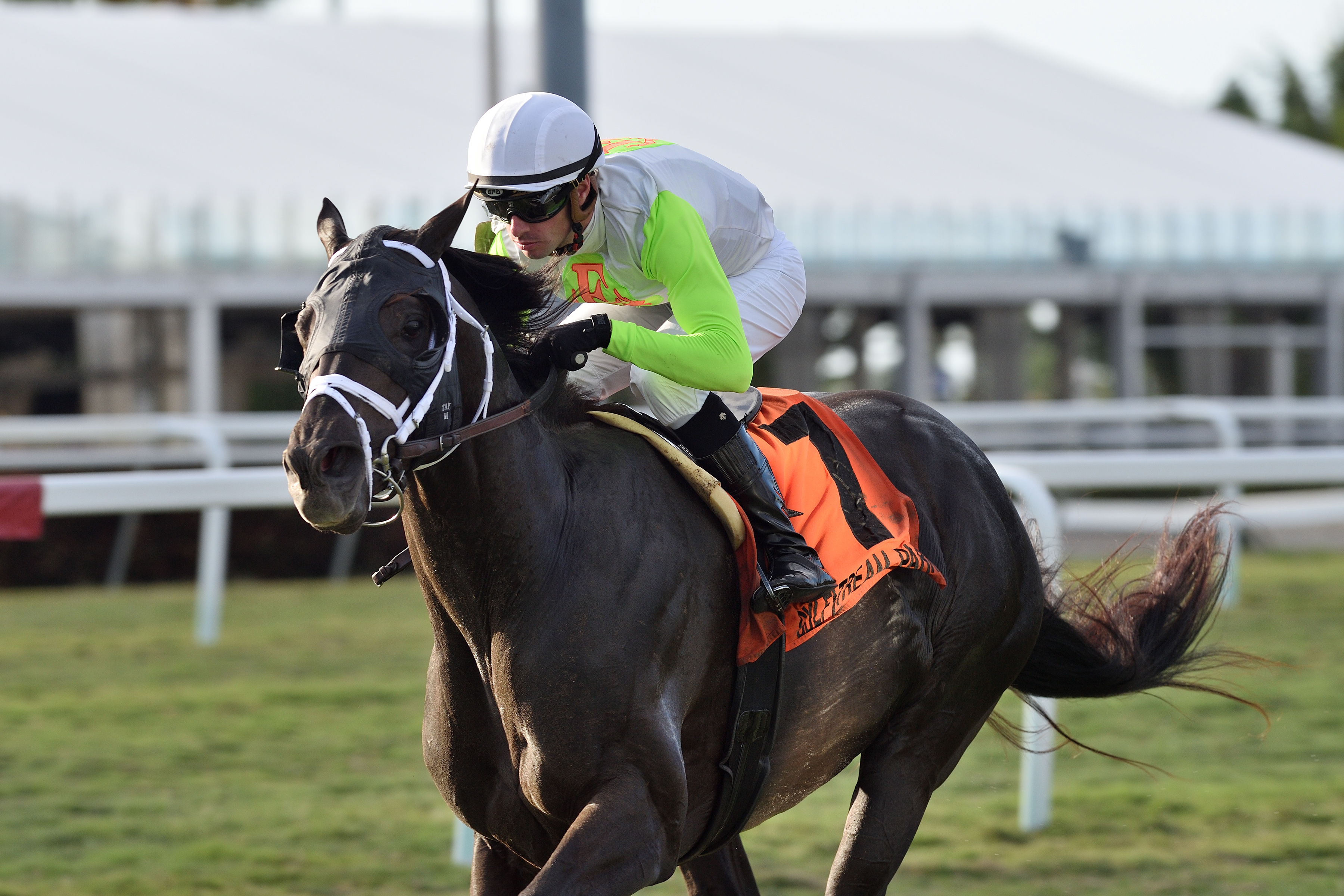 Social Paranoia wins the 2020 Appleton Stakes