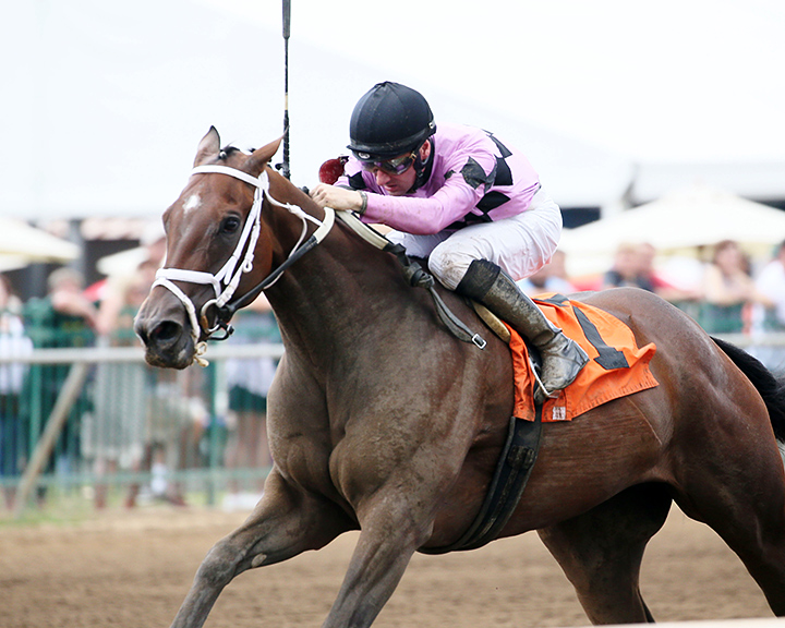 Socialite wins an Aug. 4 maiden race at Ellis Park