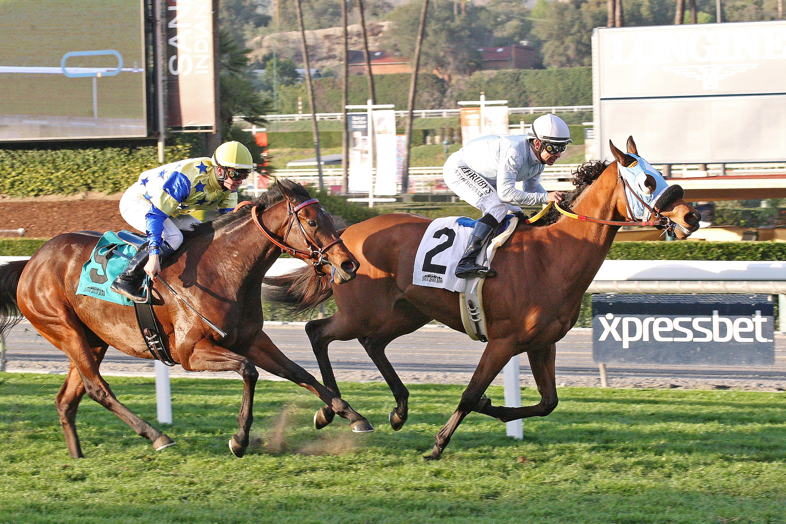 Socialized wins an optional claimer on Jan. 28