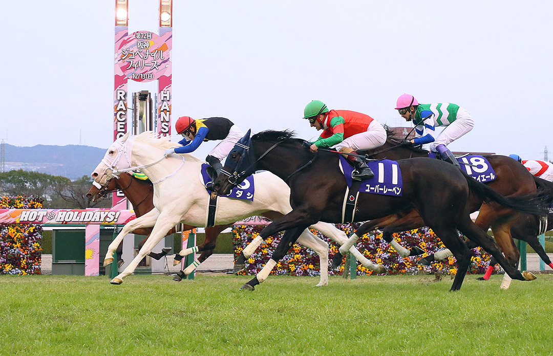 Sodashi wins the 2020 Hanshin Juvenile Fillies Stakes at Hanshin Racecourse