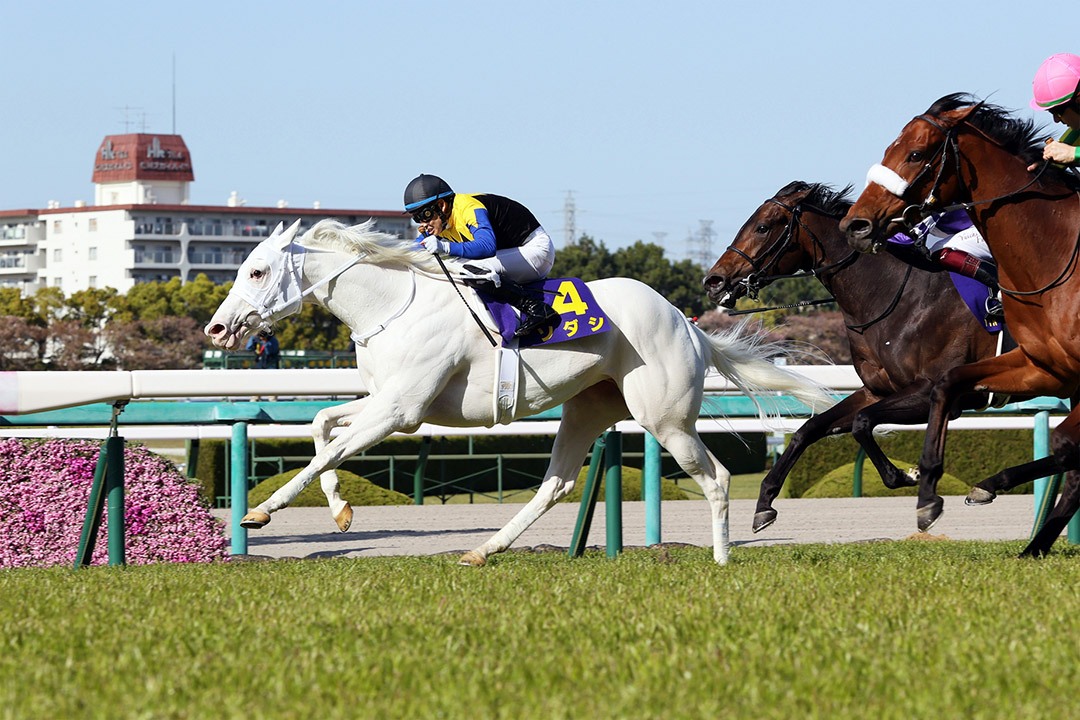 Tokyo Racecourse: Unbeaten champion Sodashi faces toughest test in Japanese Oaks