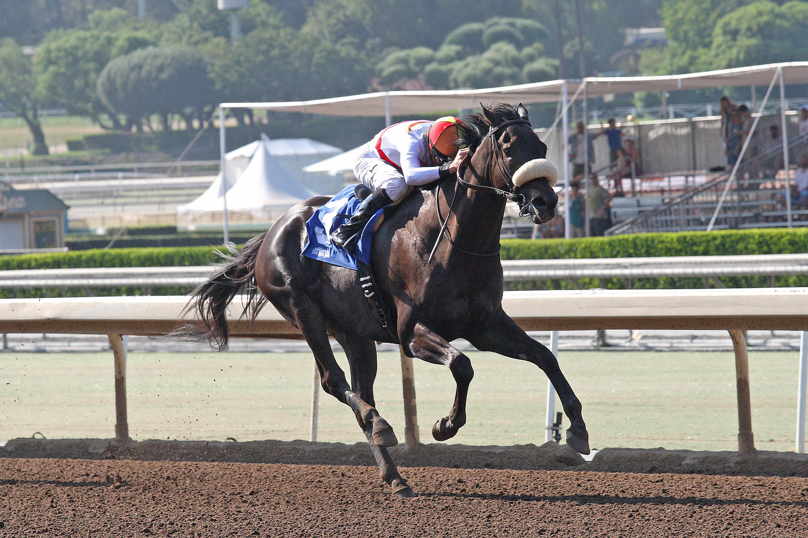 Soi Phet