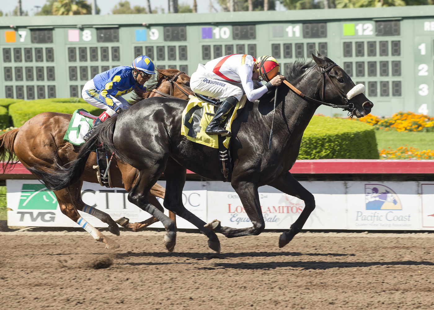 Soi Phet wins the 2017 E.B. Johnston Stakes