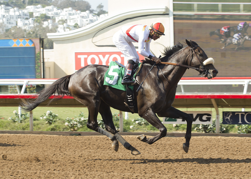 Soi Phet