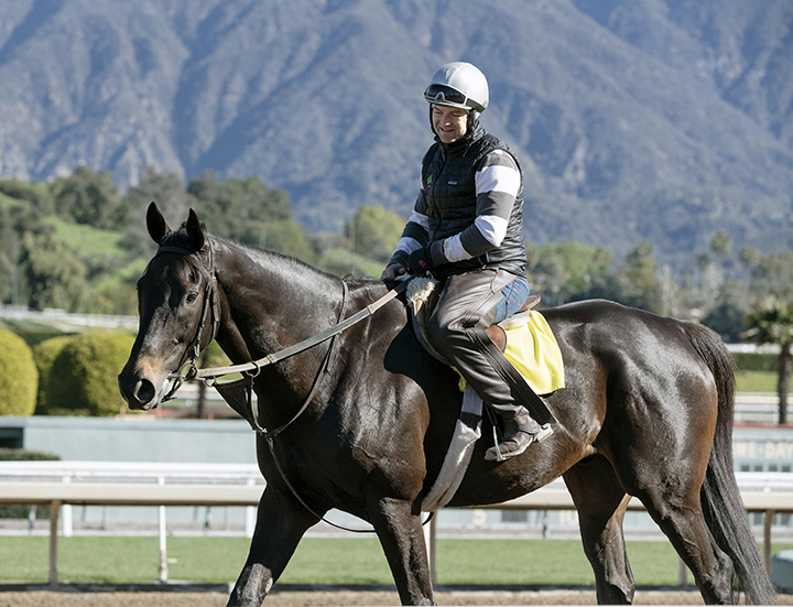 Soi Phet at Santa Anita Park on Feb. 18